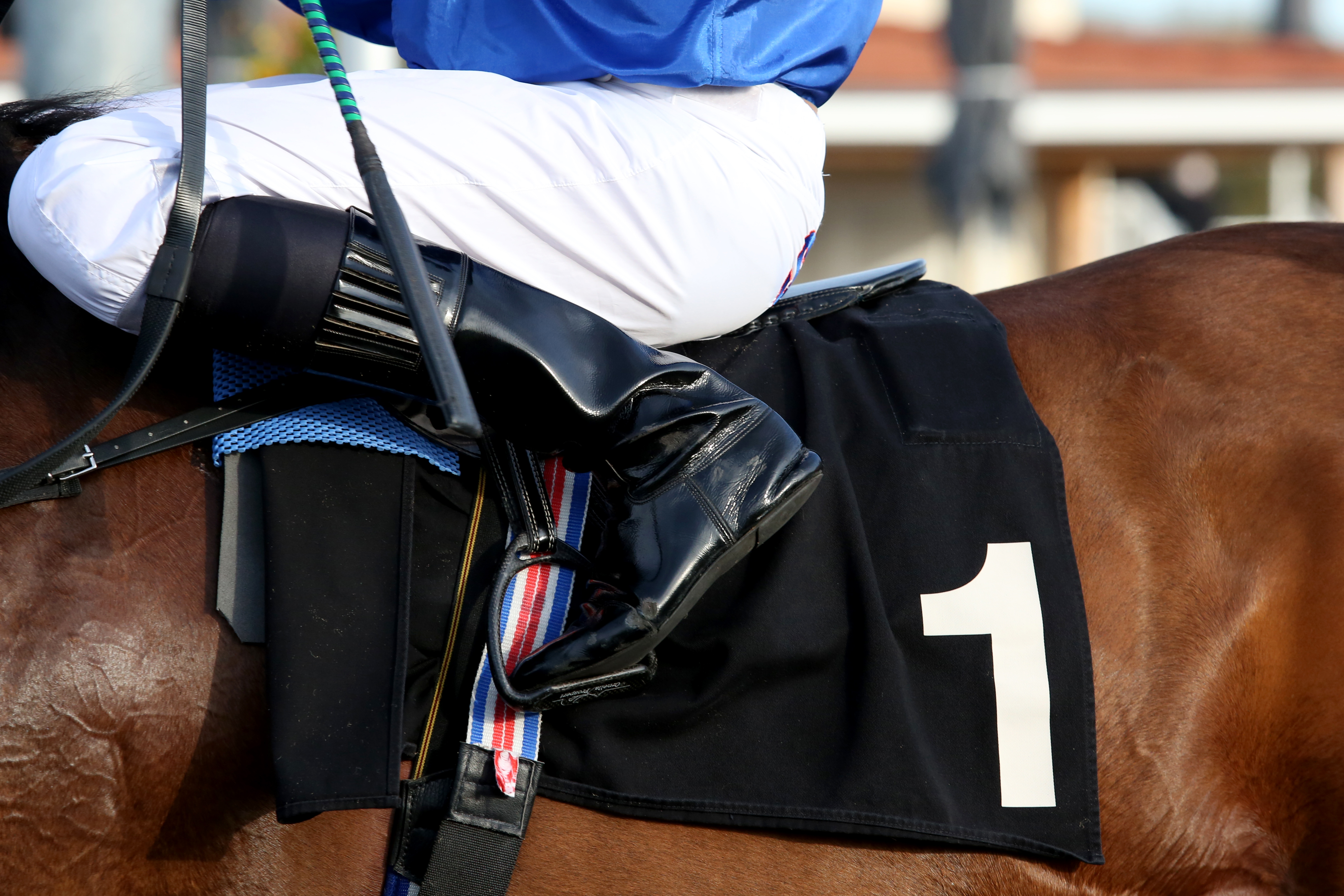 Horse Racing | Chelmsford City Racecourse
