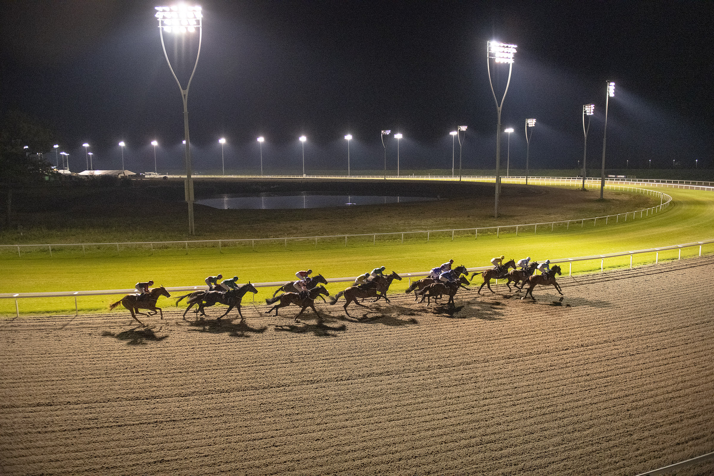 Horse Racing | Chelmsford City Racecourse