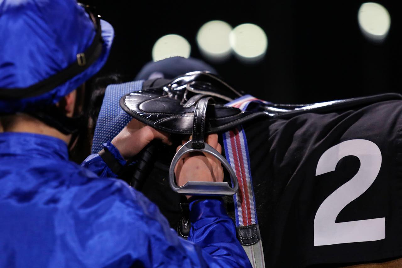 Horse Racing | Chelmsford City Racecourse