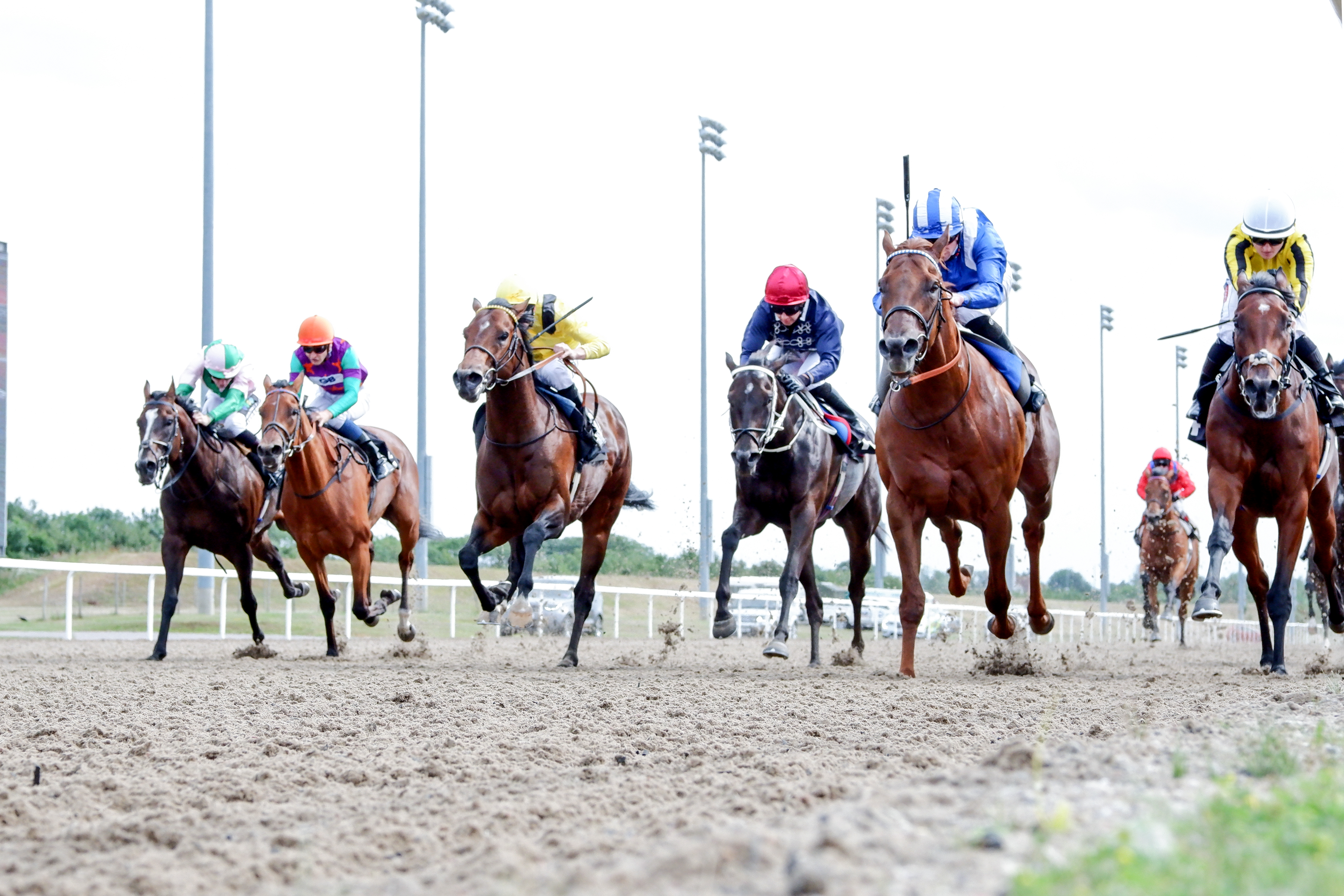 Horse Racing | Chelmsford City Racecourse