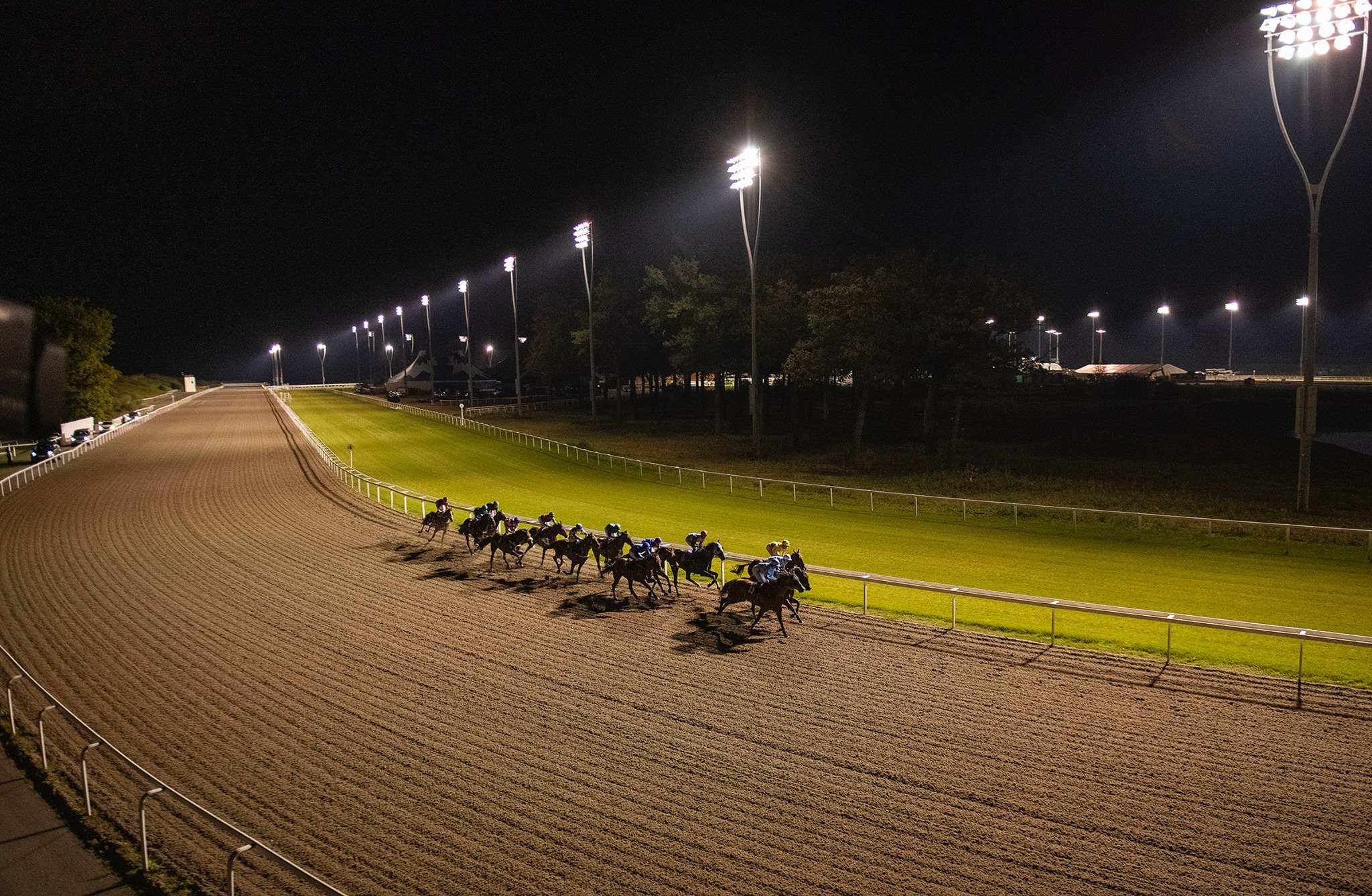 Horse Racing | Chelmsford City Racecourse