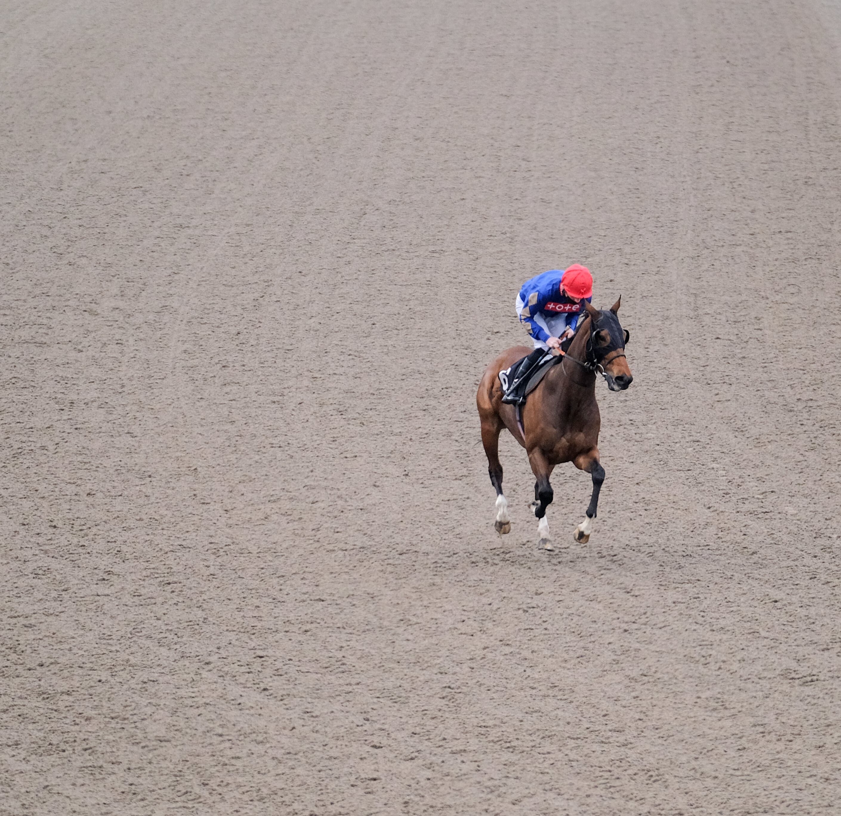 Horse Racing | Chelmsford City Racecourse