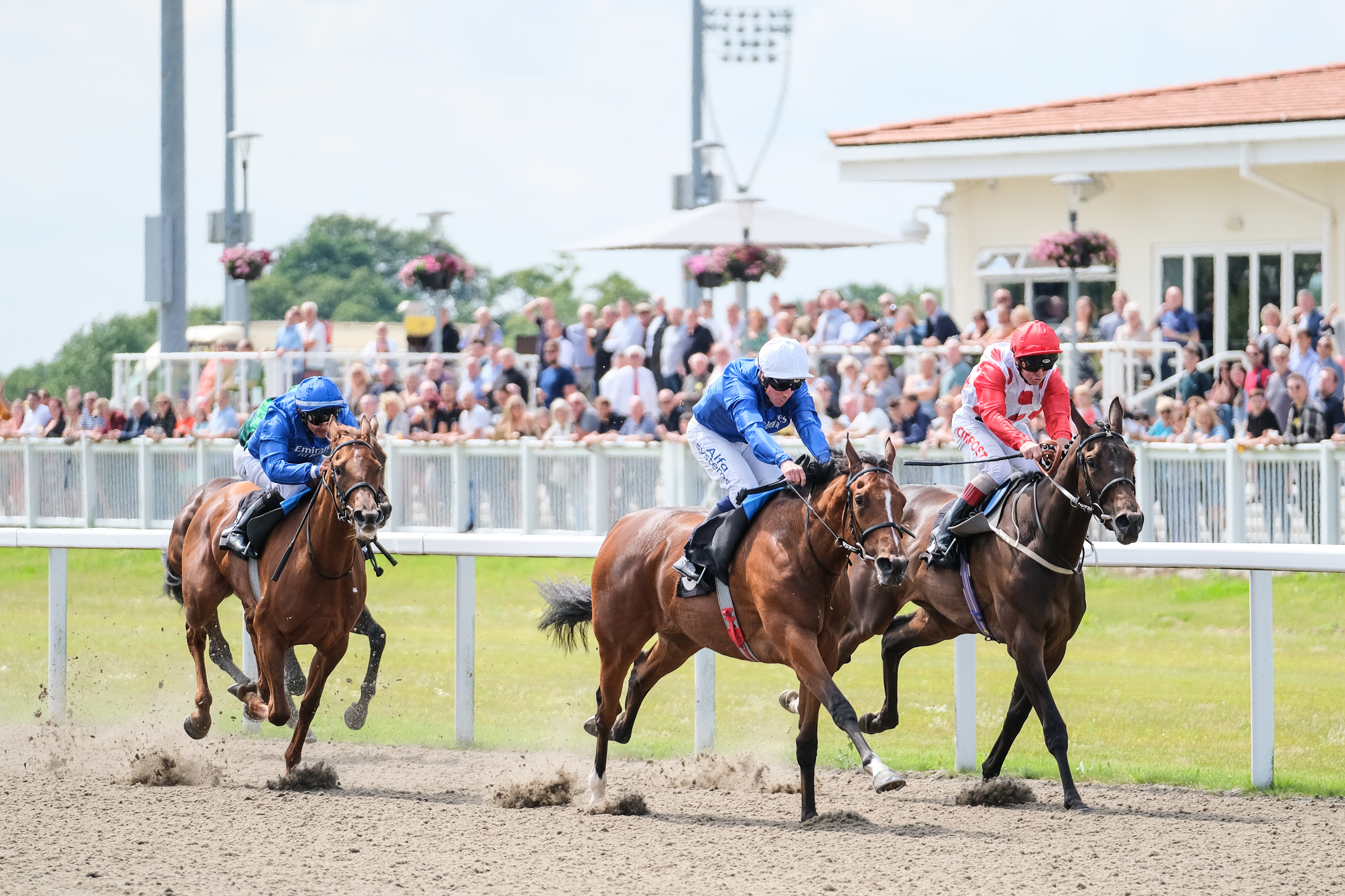 Horse Racing | Chelmsford City Racecourse