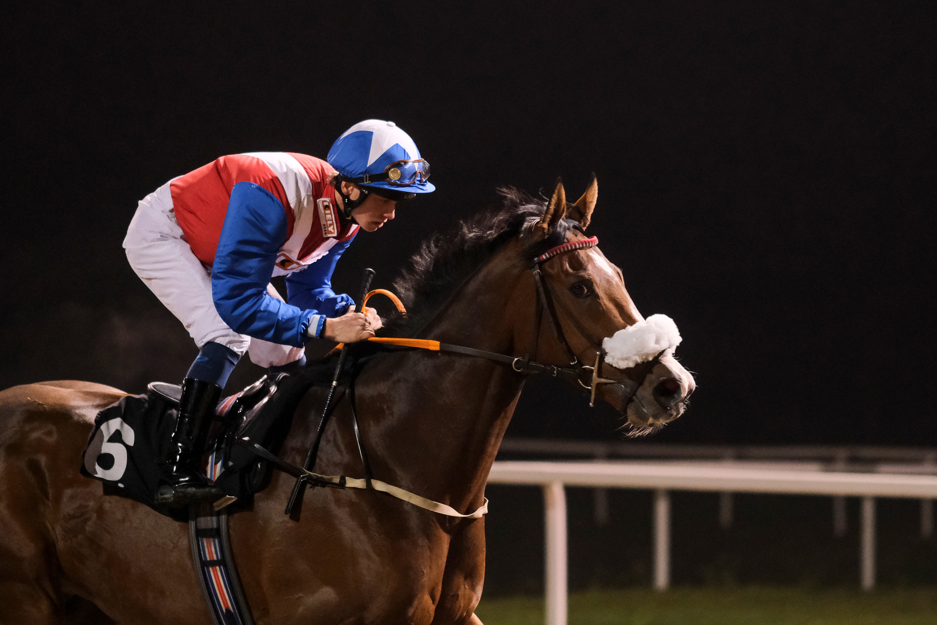 Horse Racing | Chelmsford City Racecourse