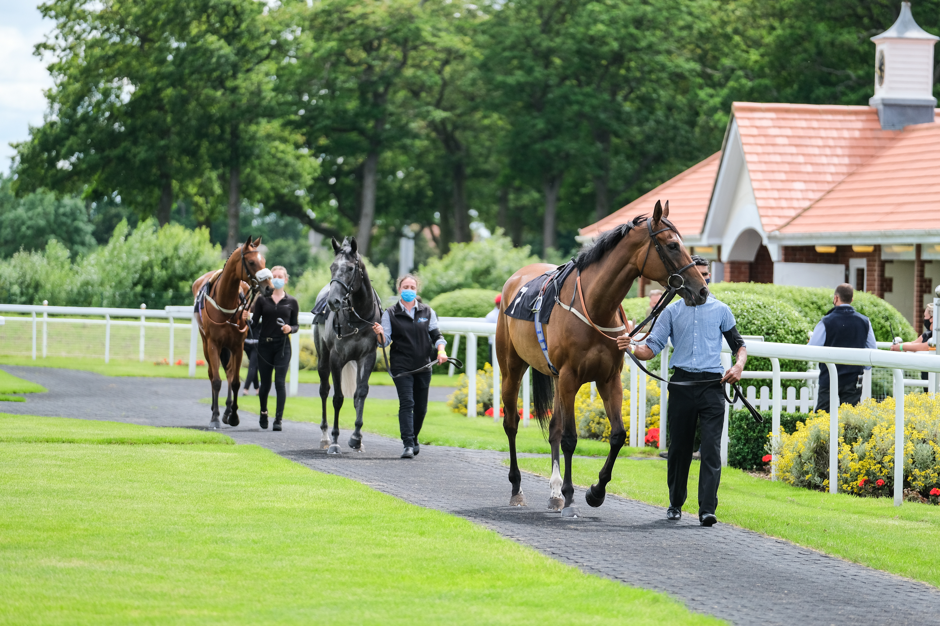 Horses | Chelmsford City Racecourse
