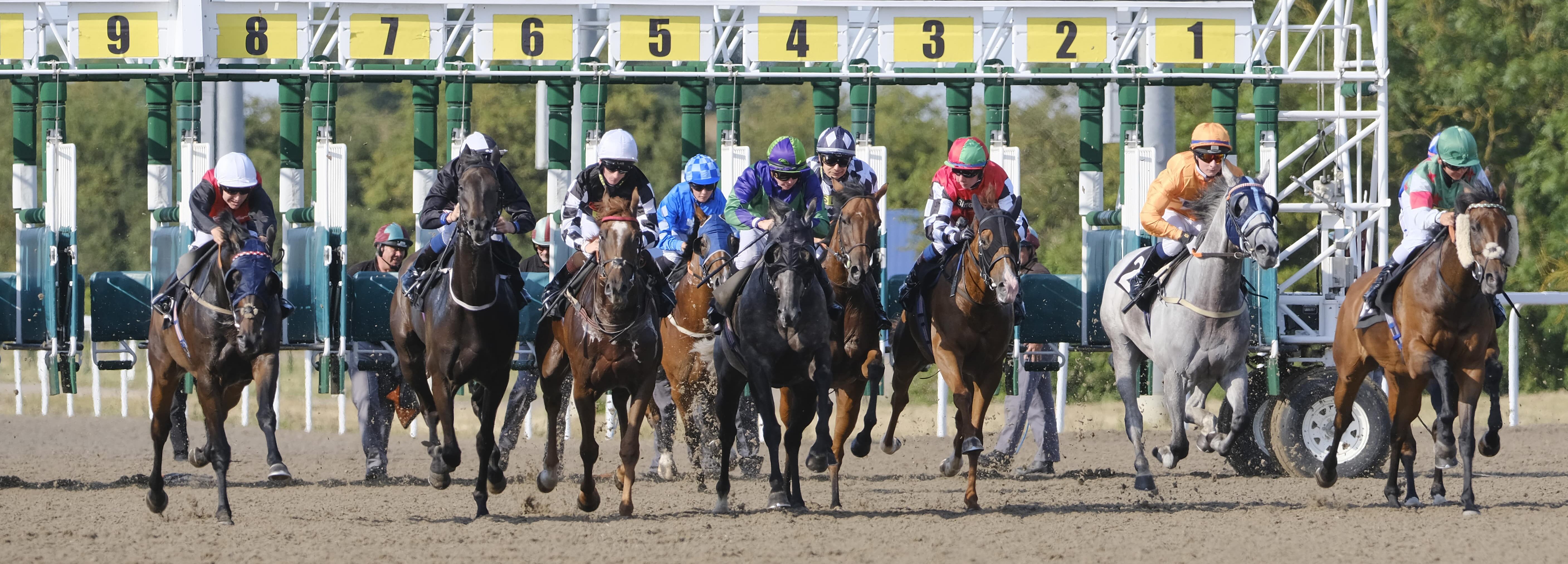 Horse Racing | Chelmsford City Racecourse