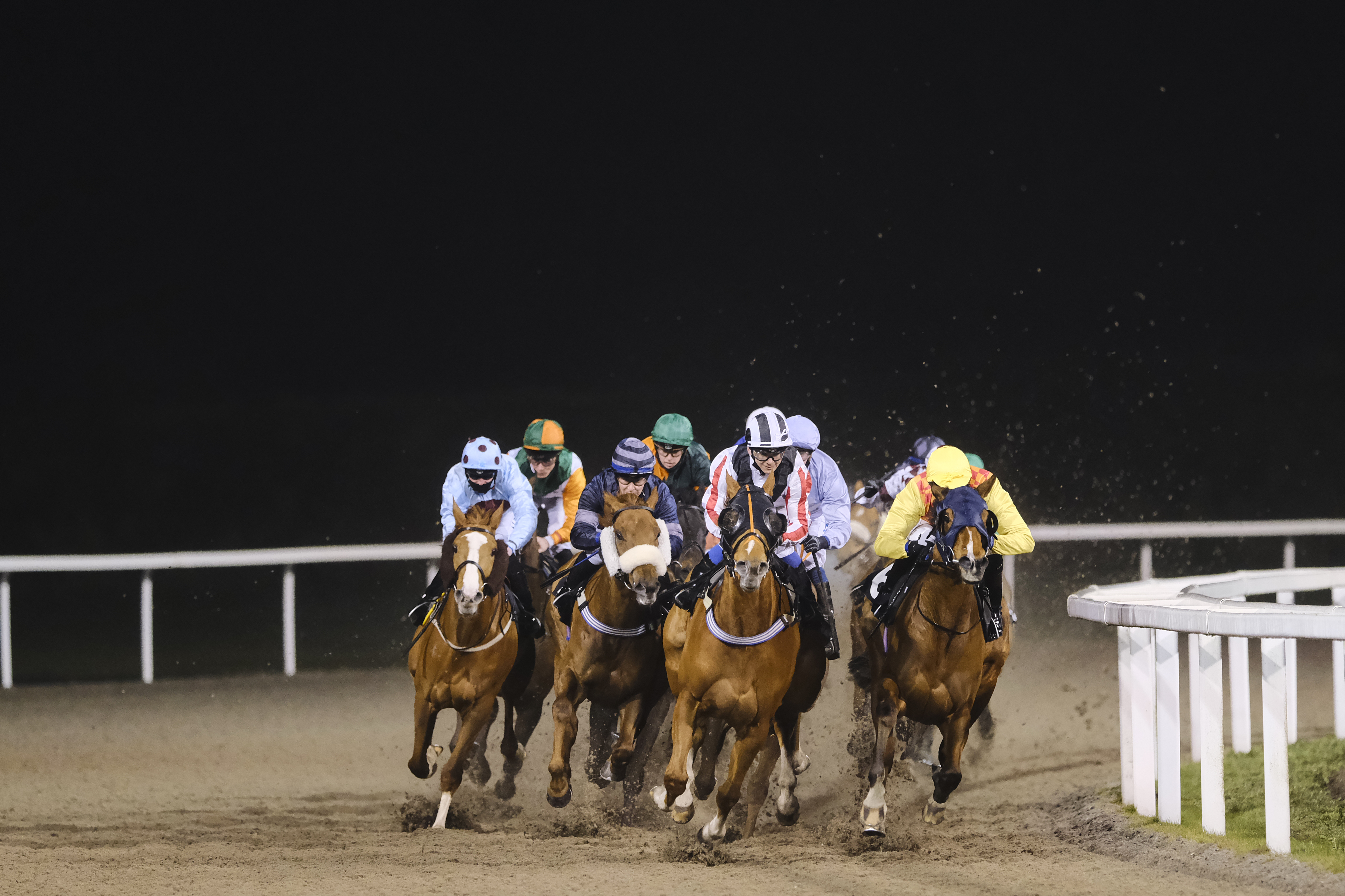 Horse Racing | Chelmsford City Racecourse
