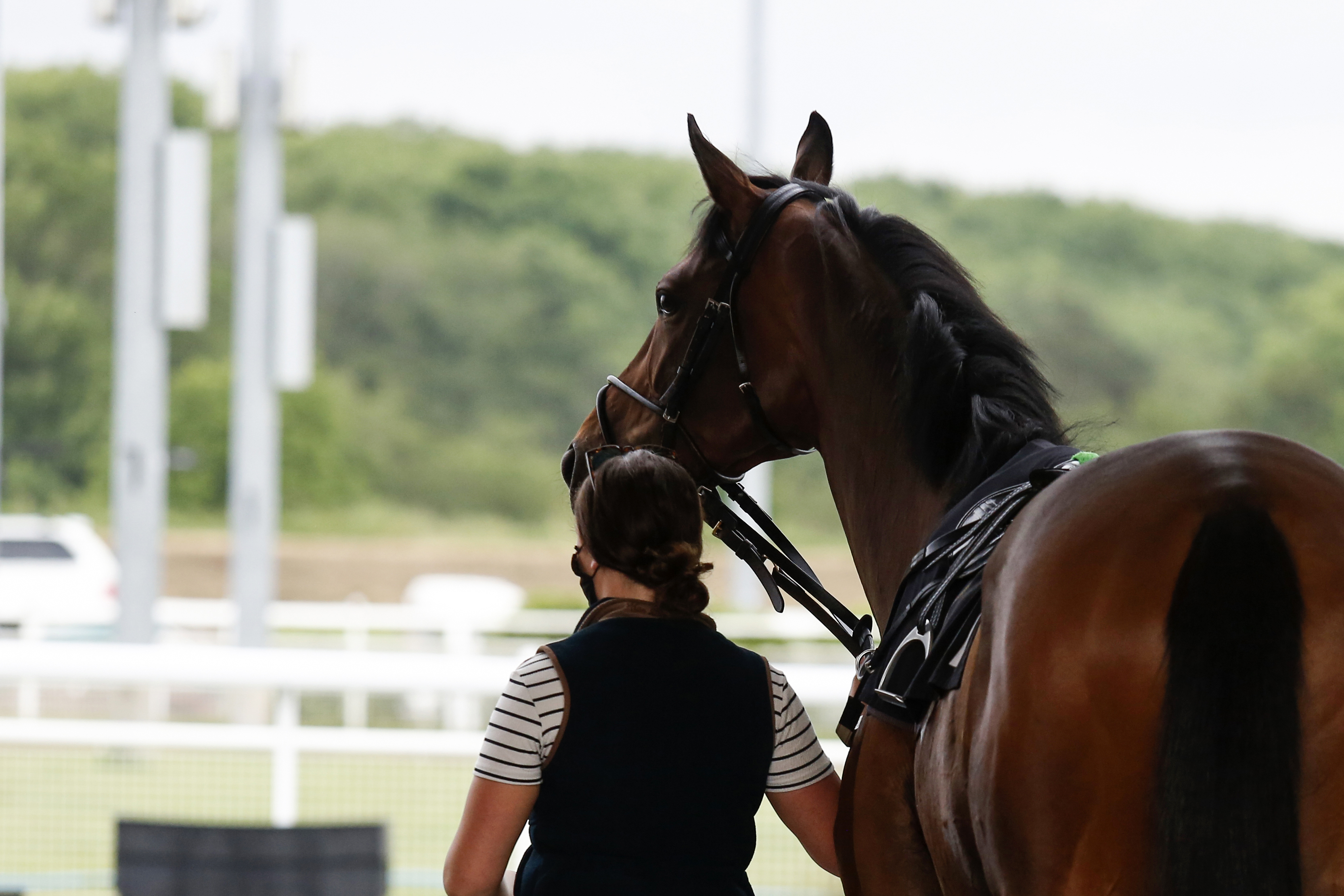 Horse Racing | Chelmsford City Racecourse