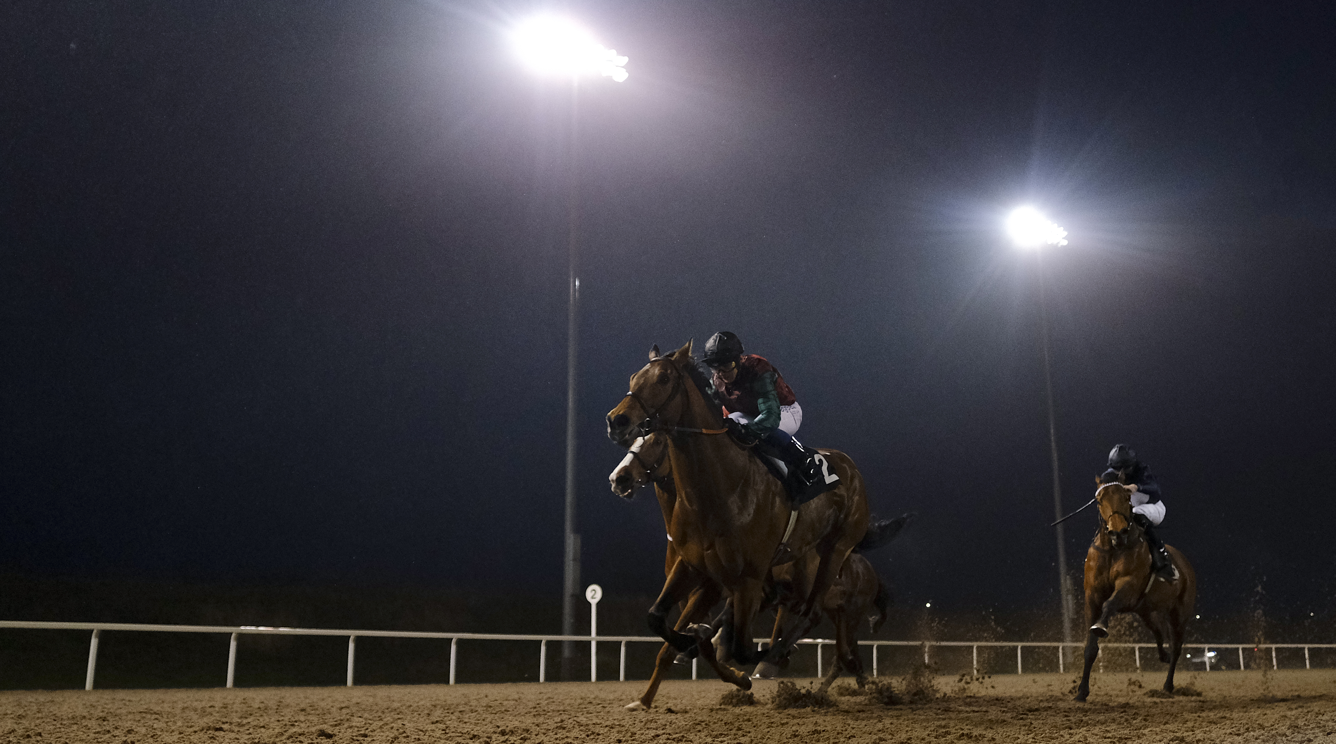 Horse Racing | Chelmsford City Racecourse
