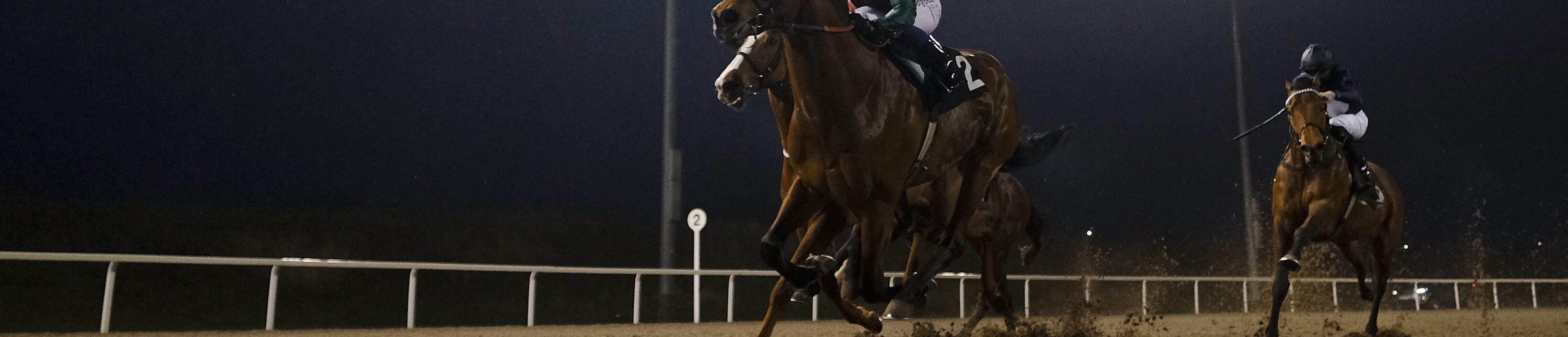 Horse Racing | Chelmsford City Racecourse
