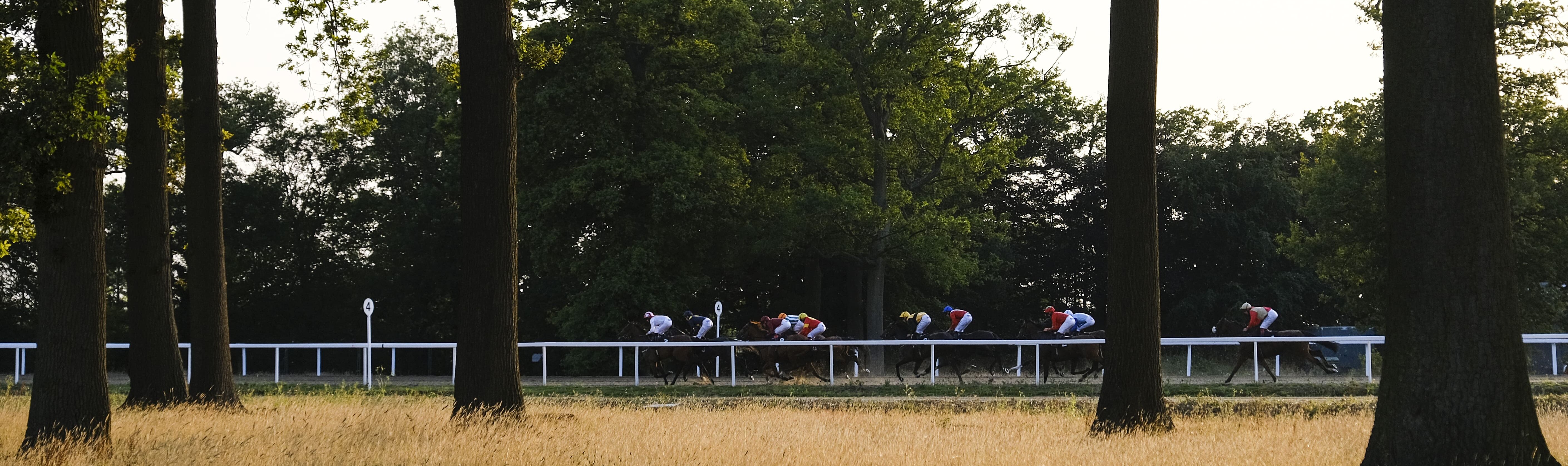 Horse Racing | Chelmsford City Racecourse