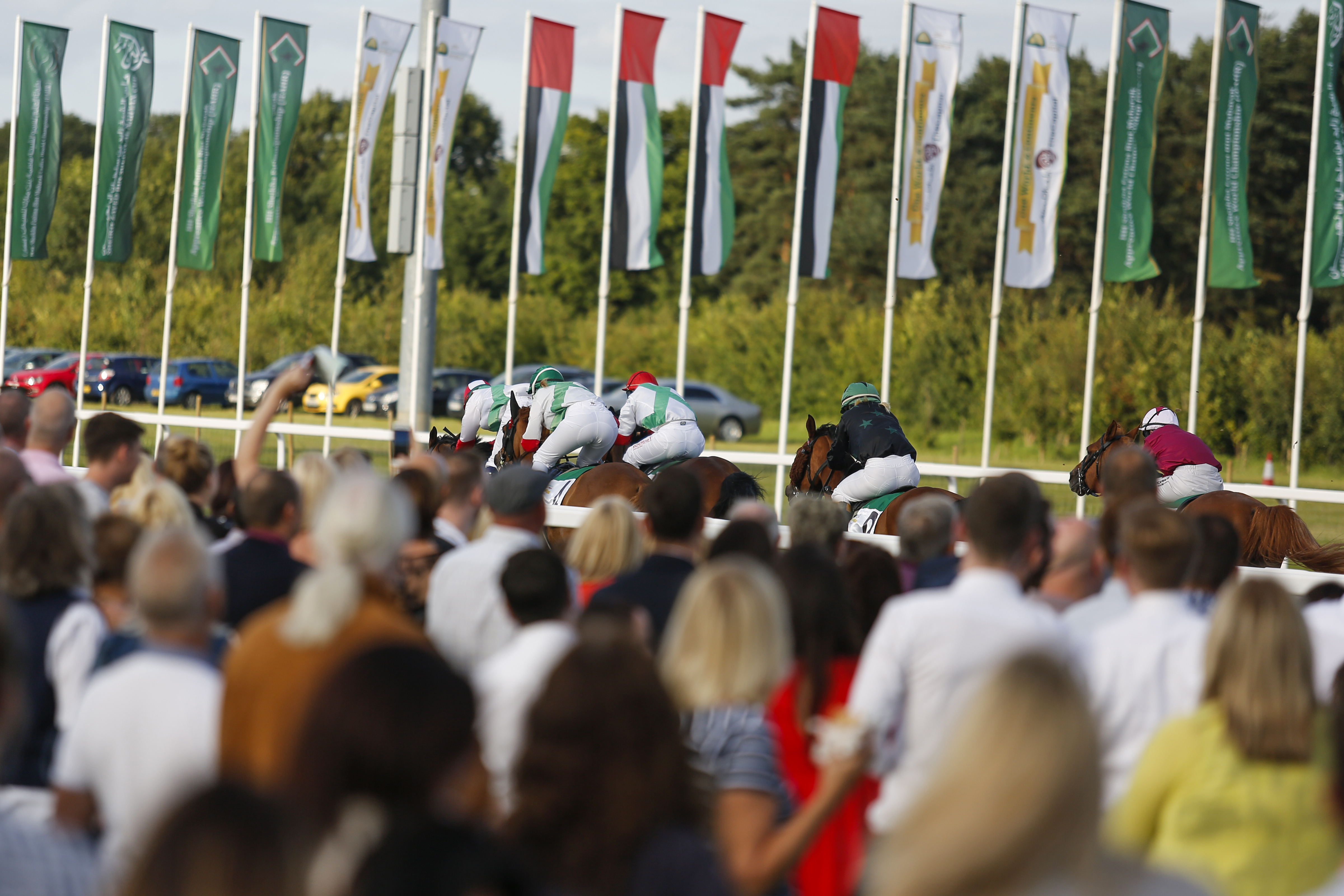 Horse Racing | Chelmsford City Racecourse