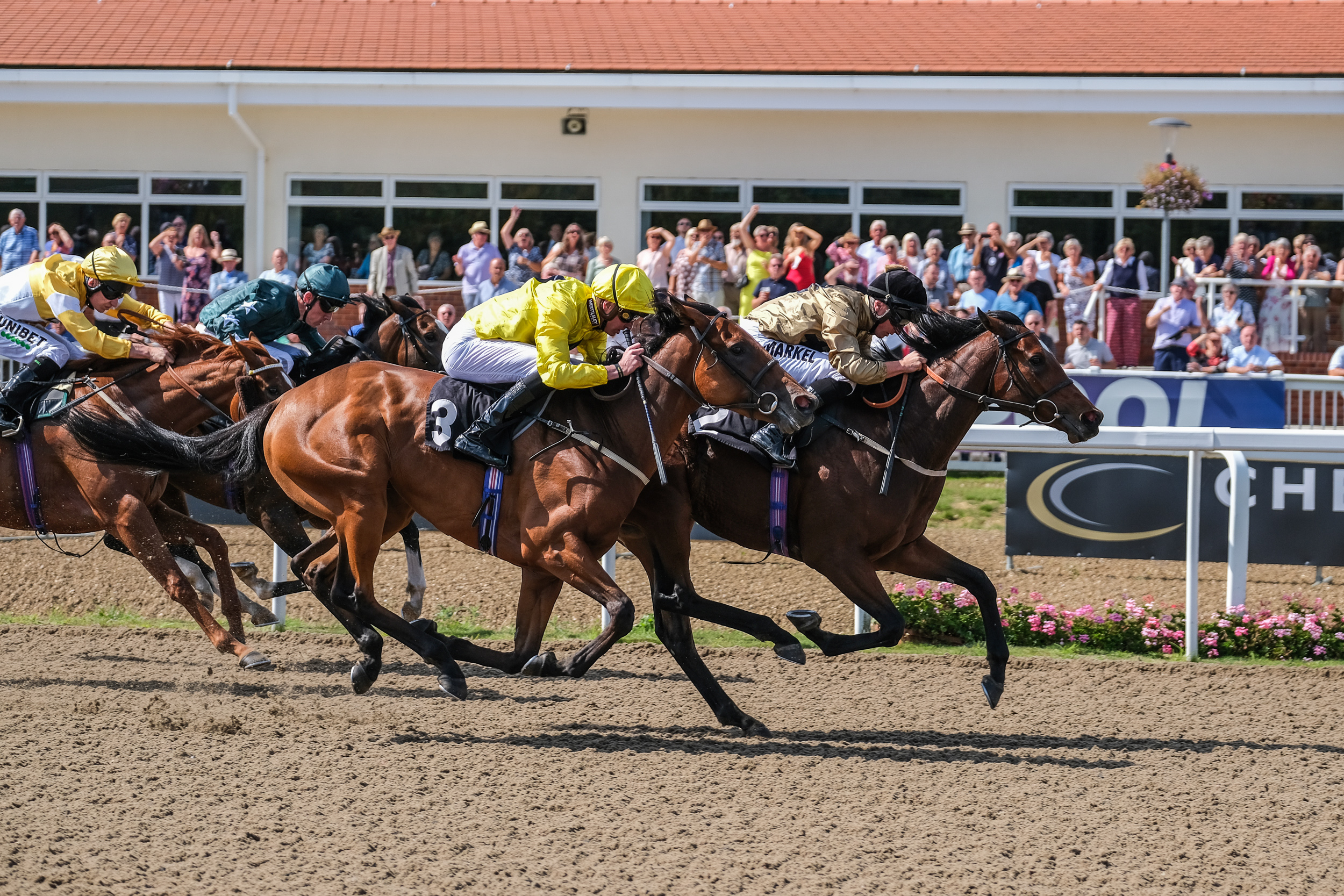 Horse Racing | Chelmsford City Racecourse