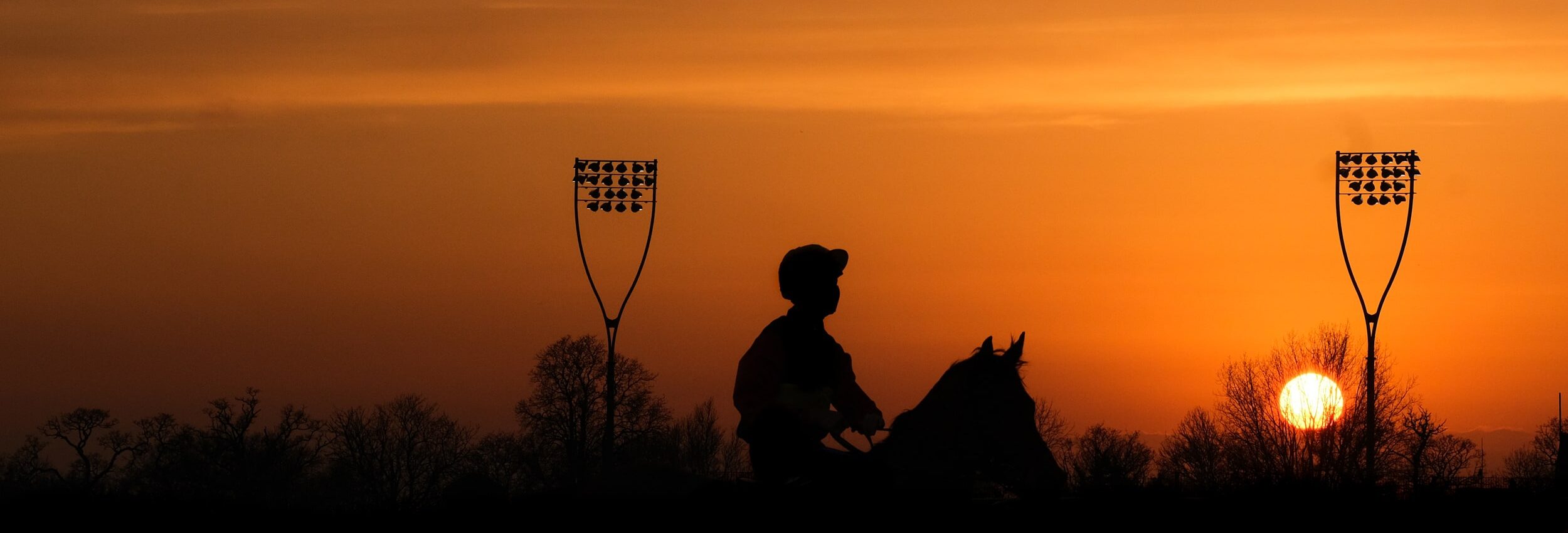 Horse Racing | Chelmsford City Racecourse
