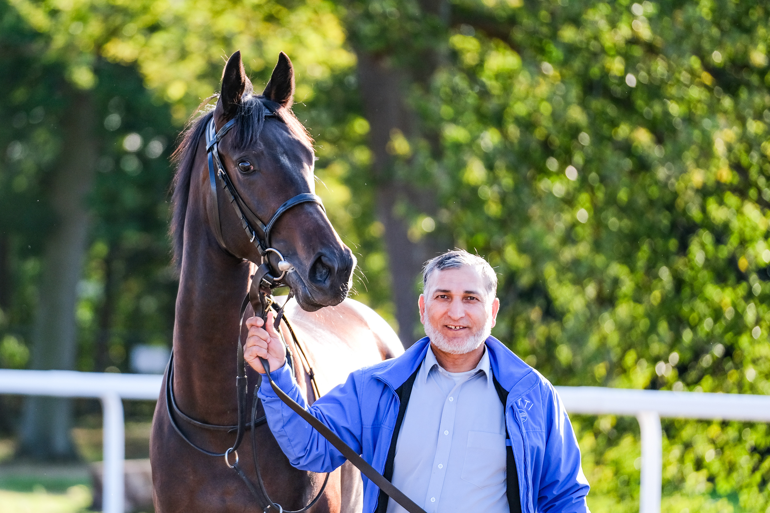 Horses | Chelmsford City Racecourse