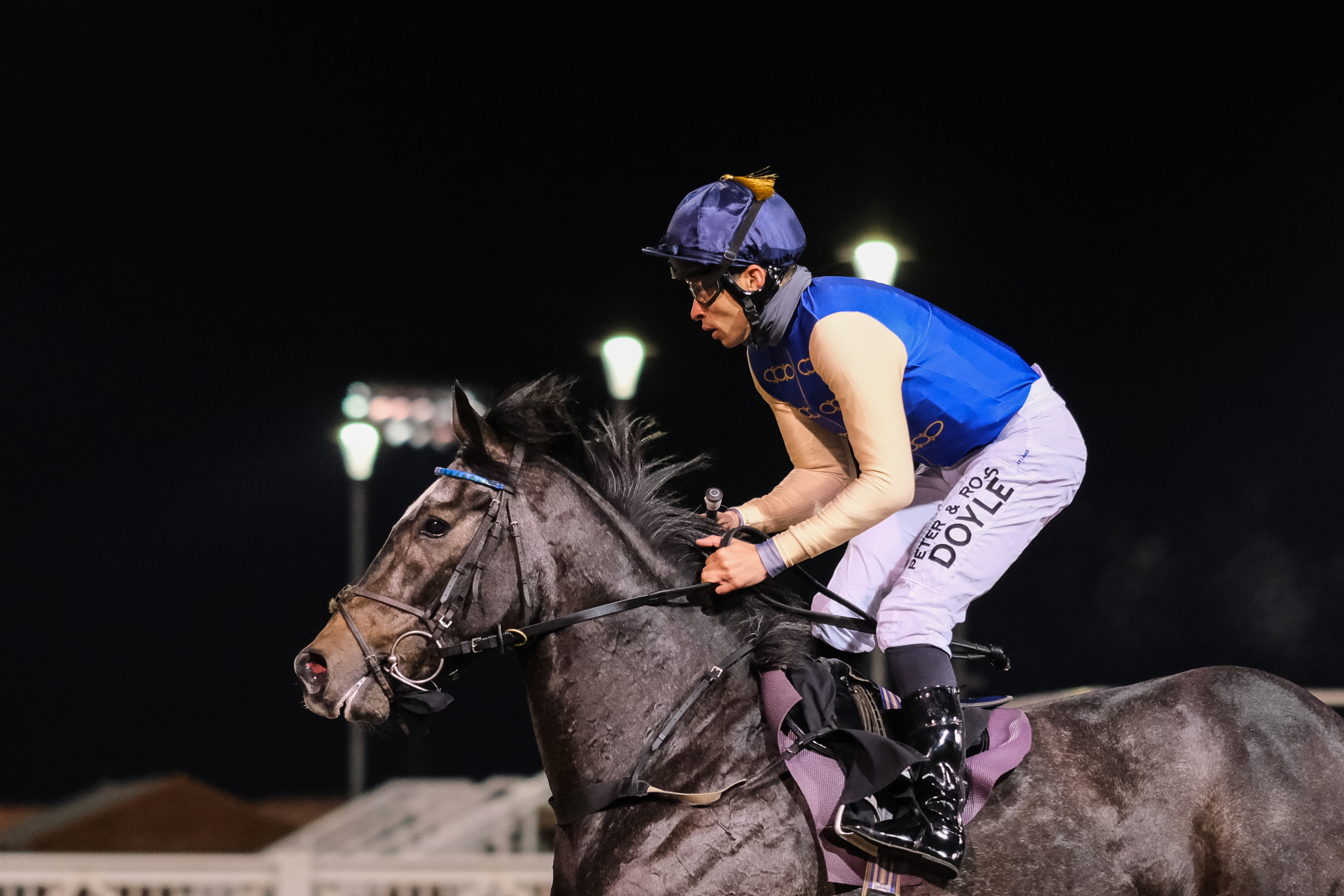 Horse Racing | Chelmsford City Racecourse