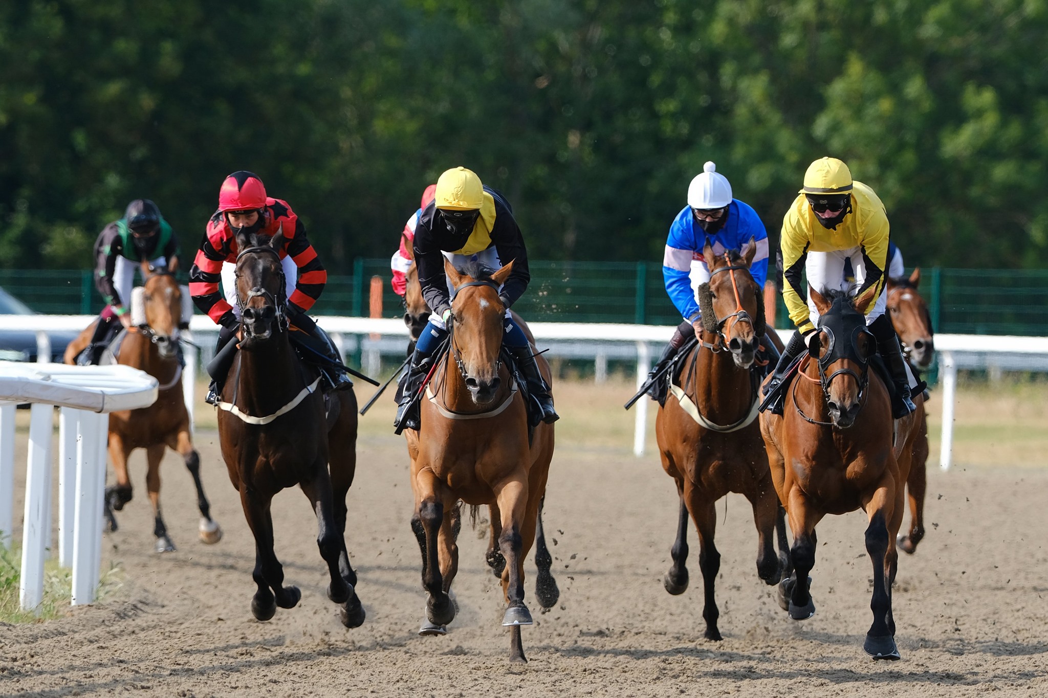 Horse Racing | Chelmsford City Racecourse