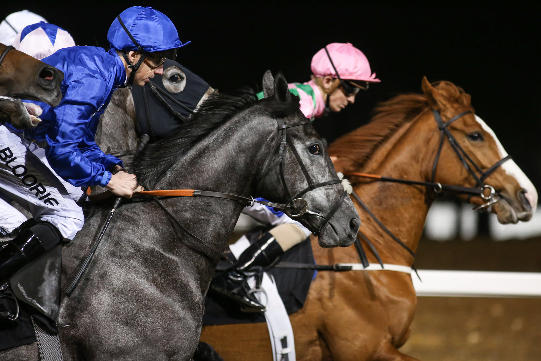 Horse Racing | Chelmsford City Racecourse