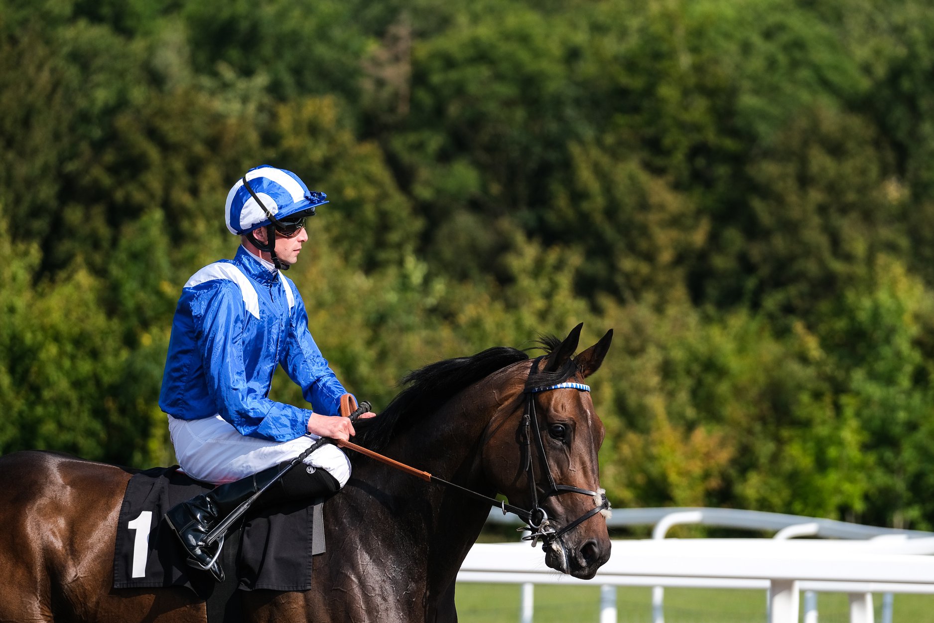 Horse Racing | Chelmsford City Racecourse