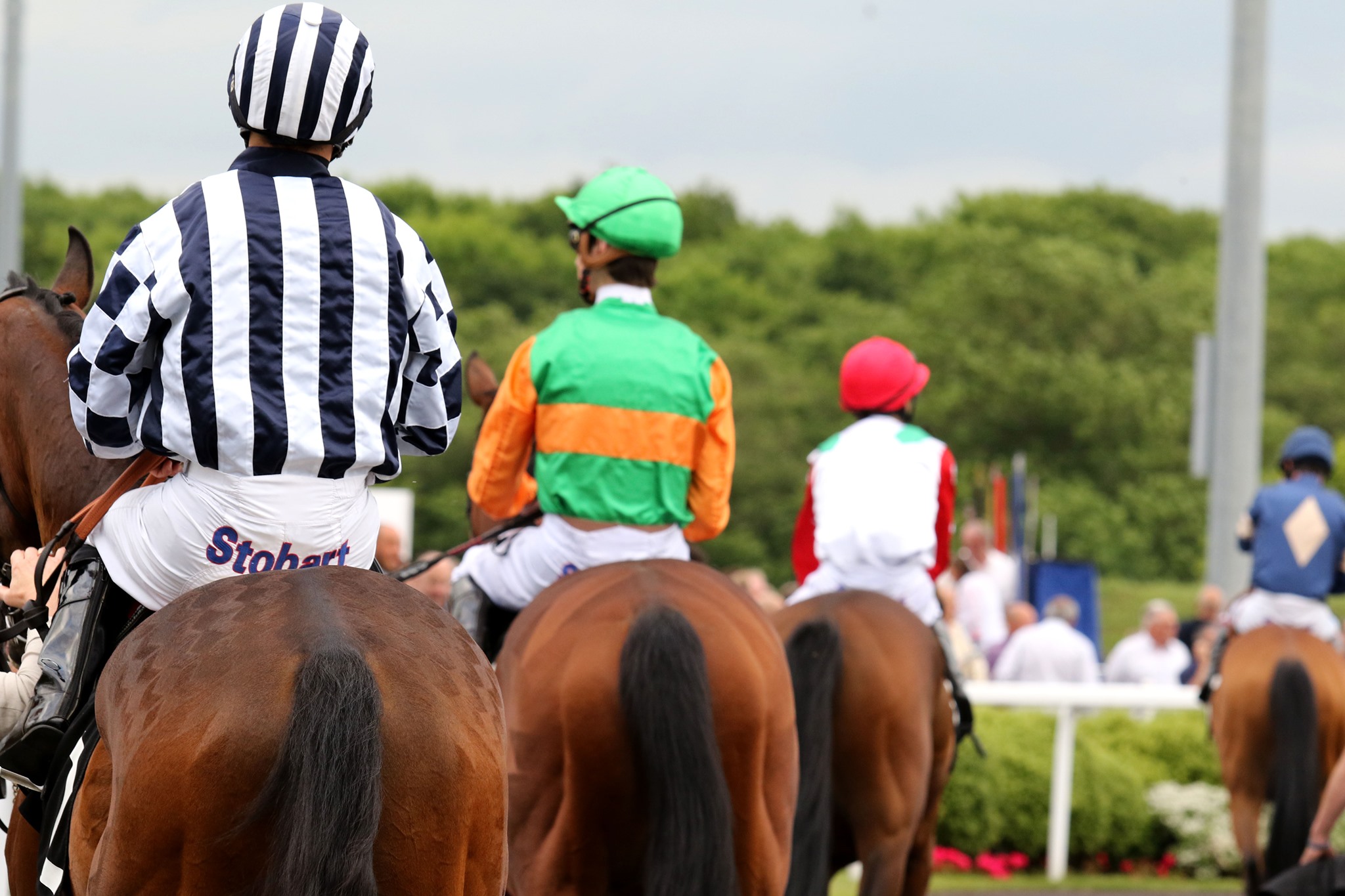 Horse Racing | Chelmsford City Racecourse