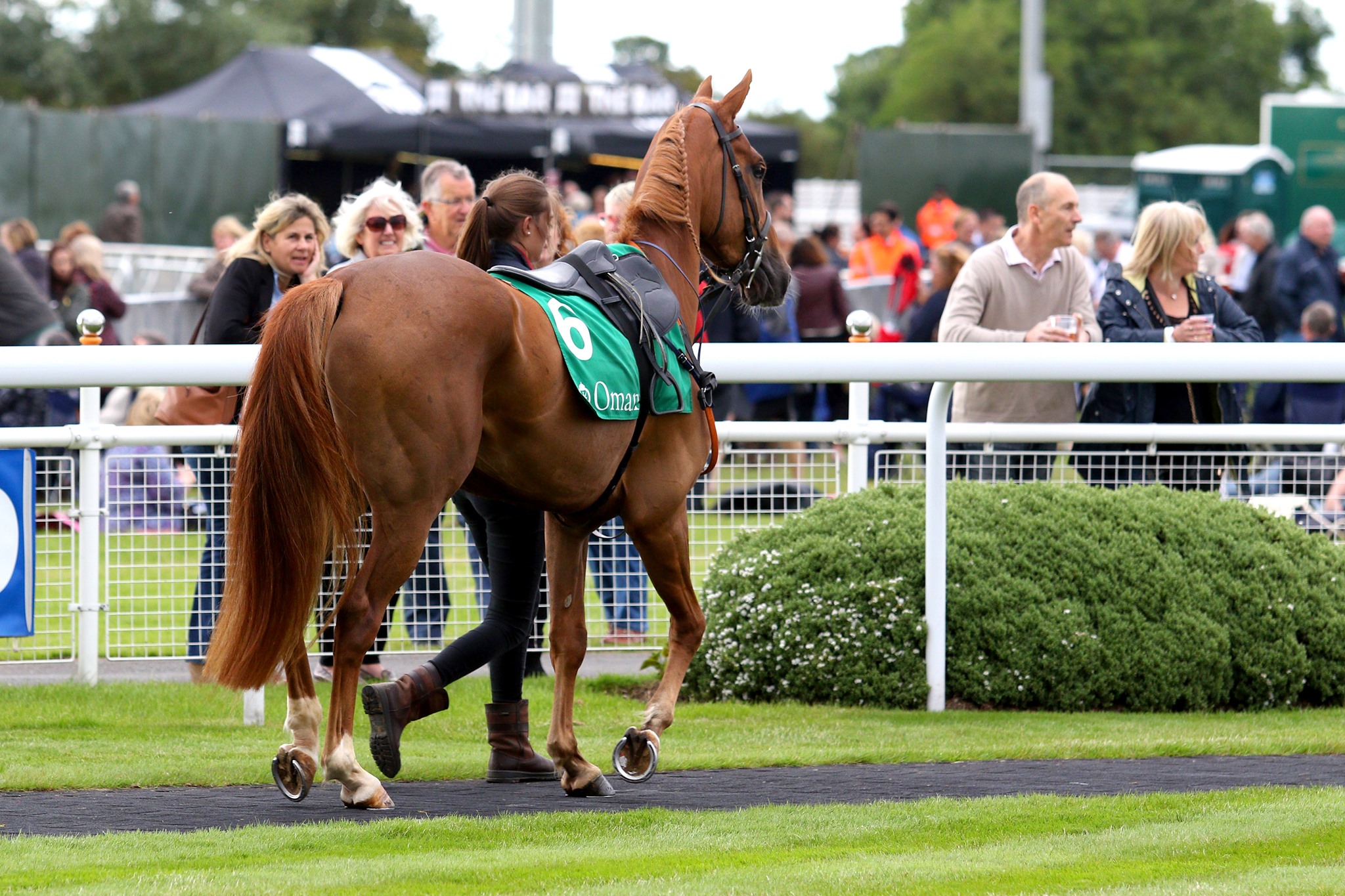 Horse Racing | Chelmsford City Racecourse