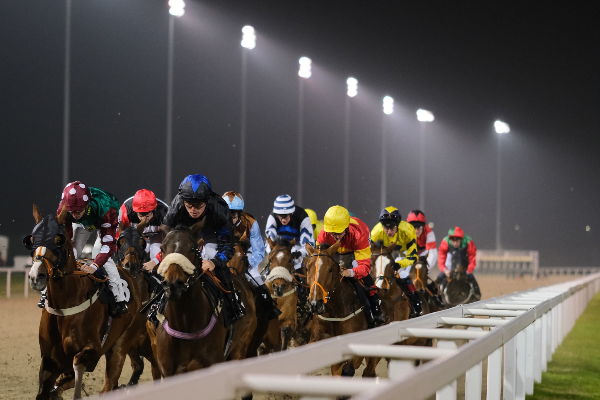 Horse Racing | Chelmsford City Racecourse