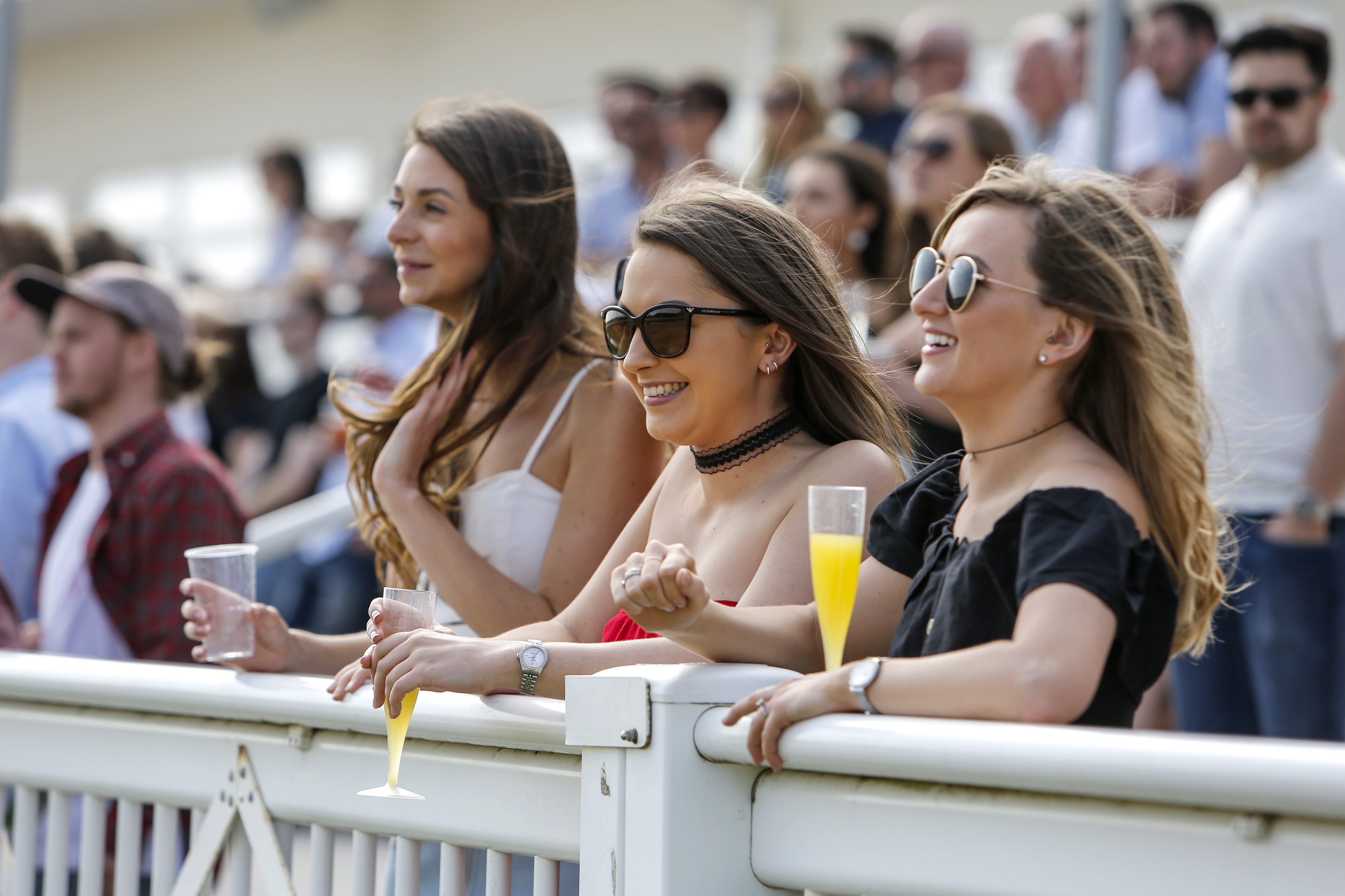 Race Days | Chelmsford City Racecourse