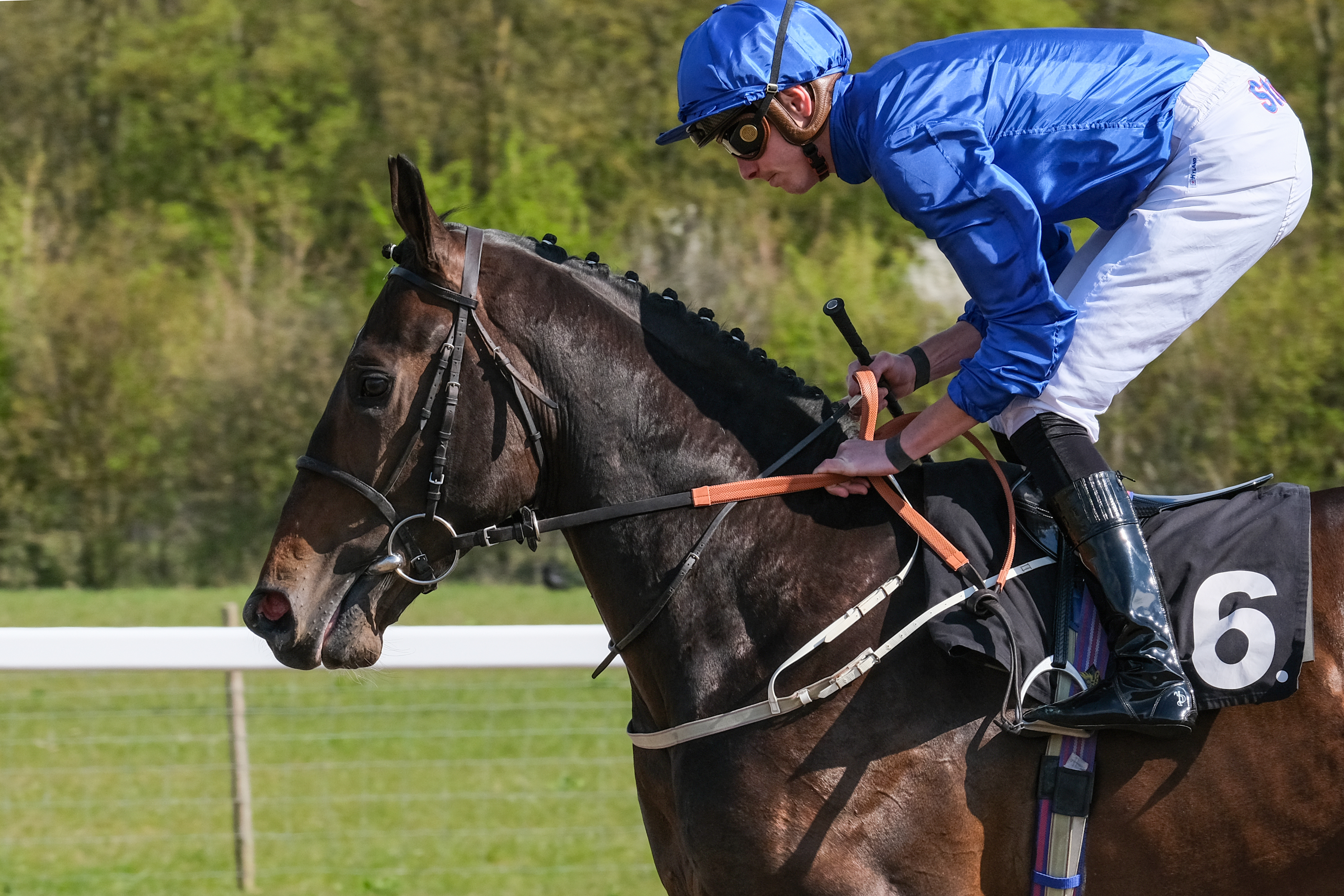Horses Racing | Chelmsford City Racecourse