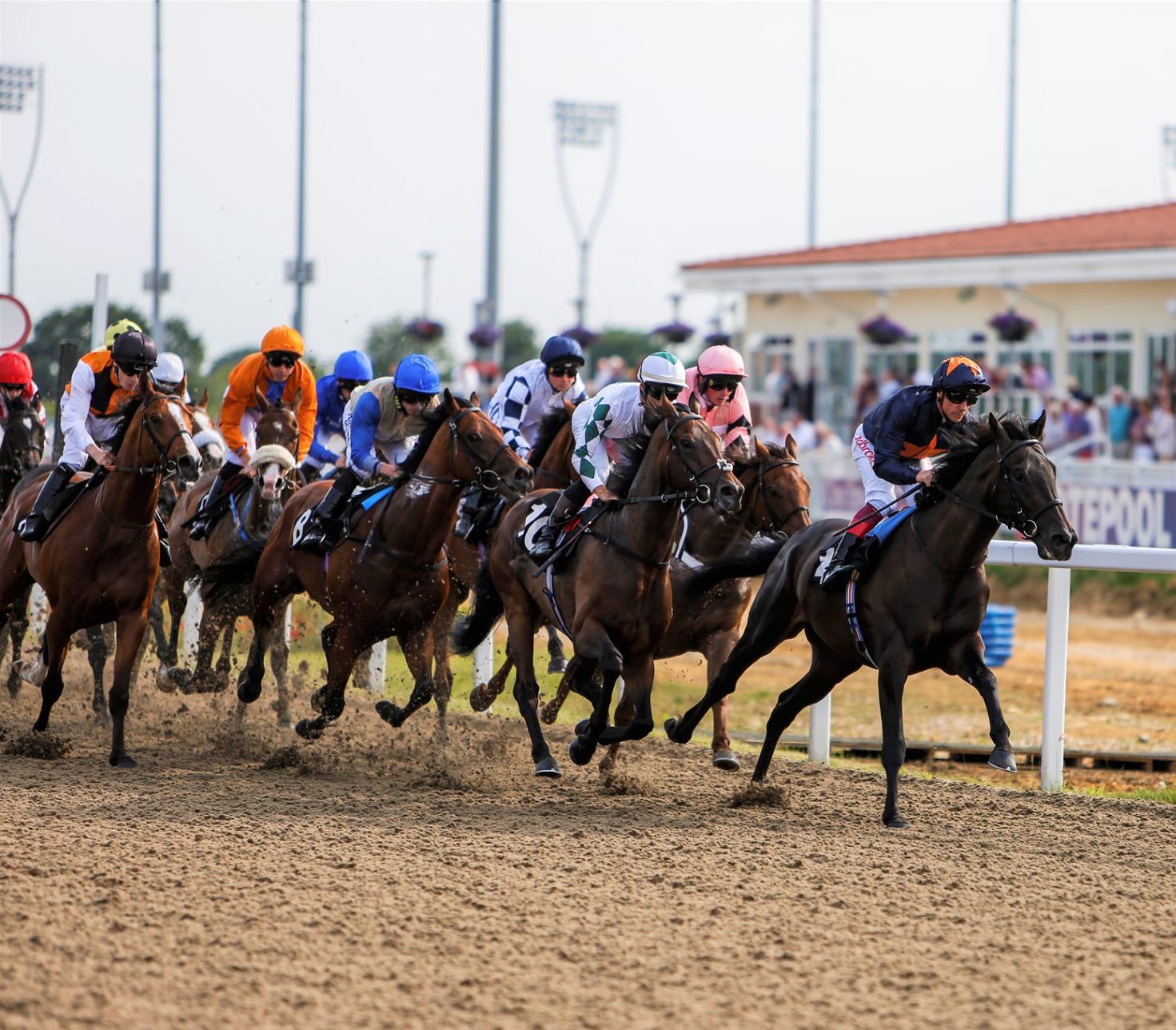 Horse Racing | Chelmsford City Racecourse