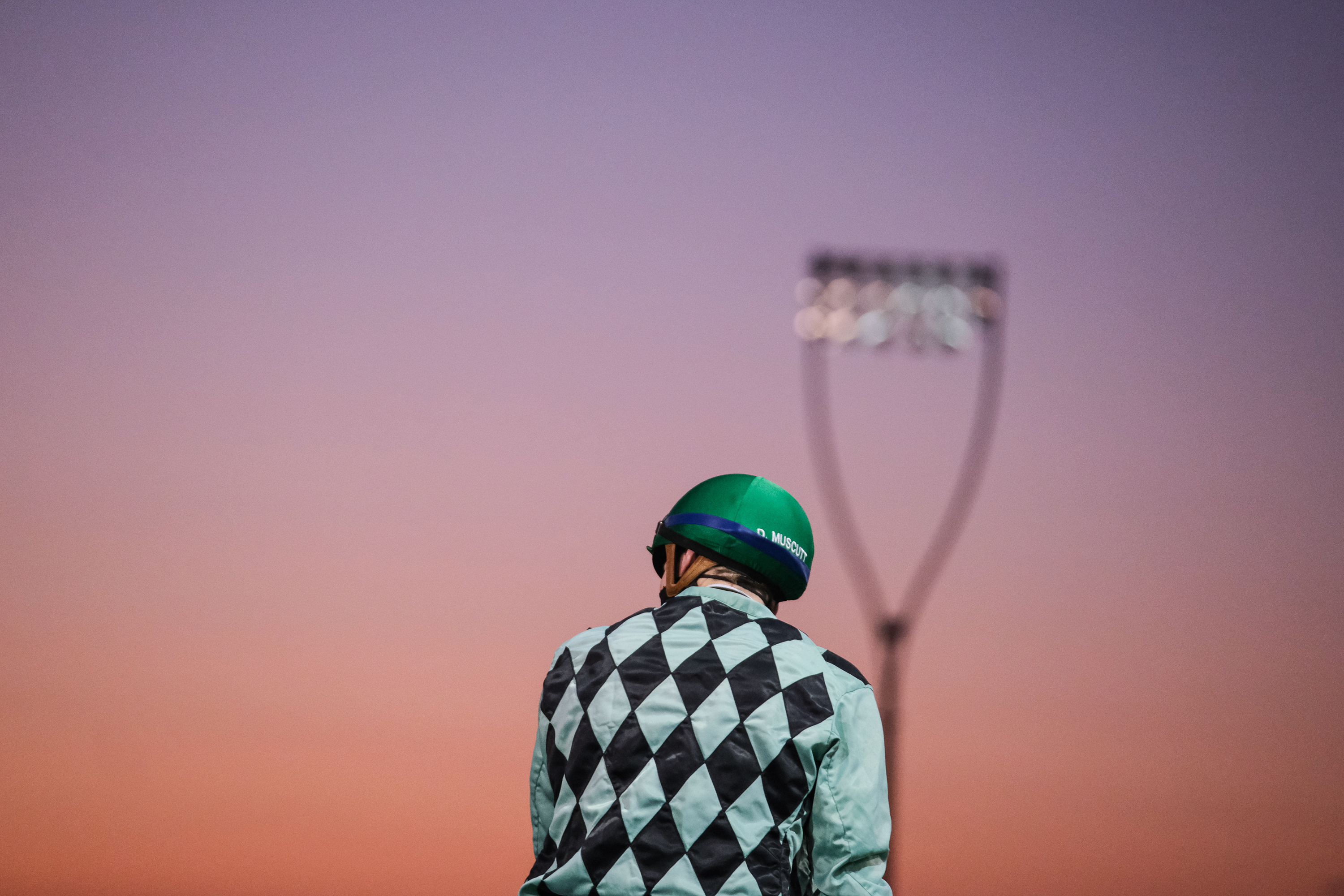 Horse Racing | Chelmsford City Racecourse