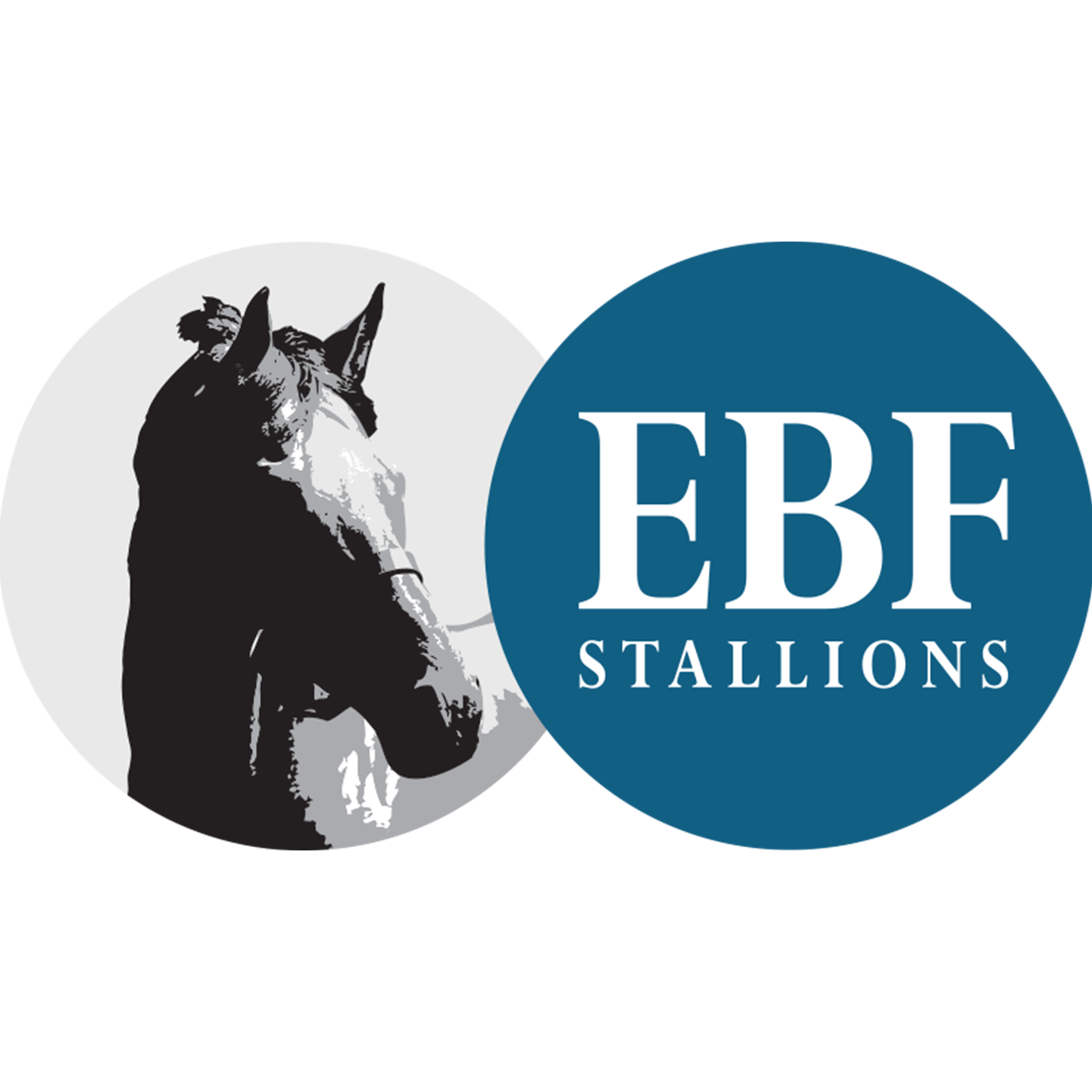 EBF | Chelmsford City Racecourse