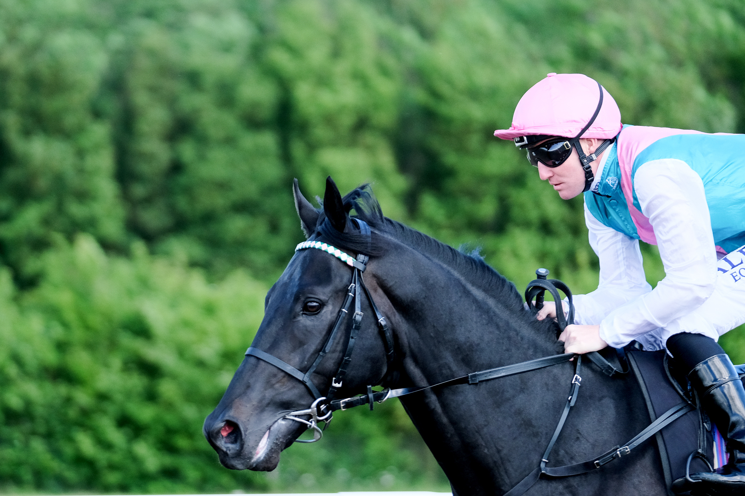 Horse Racing | Chelmsford City Racecourse