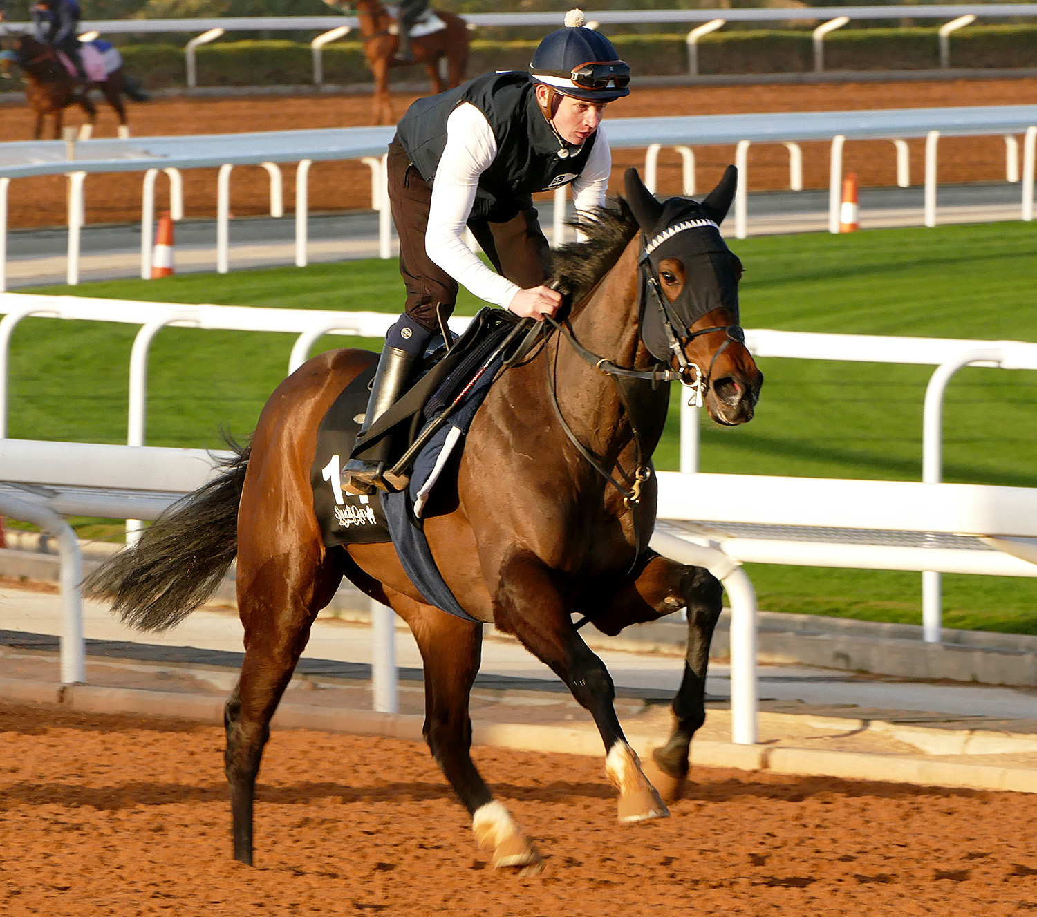 Horse Racing | Chelmsford City Racecourse