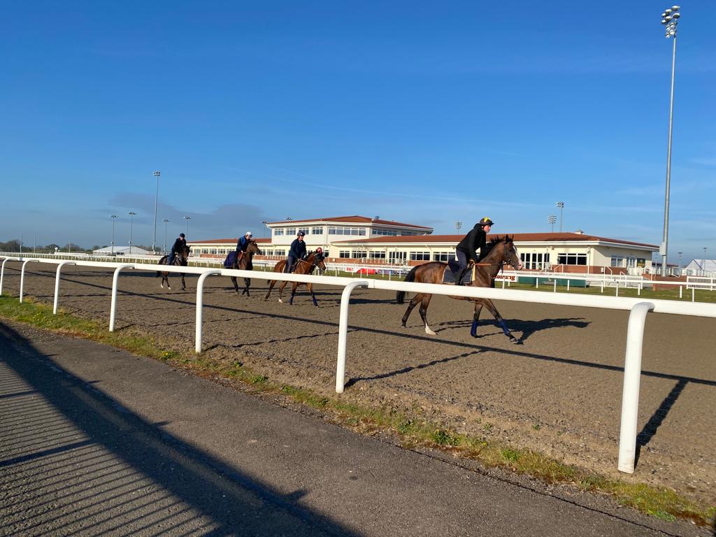 Horse Races | Chelmsford City Racecourse