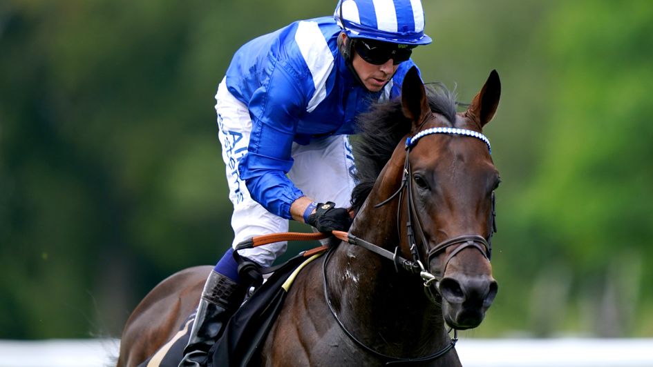 Horse Races | Chelmsford City Racecourse