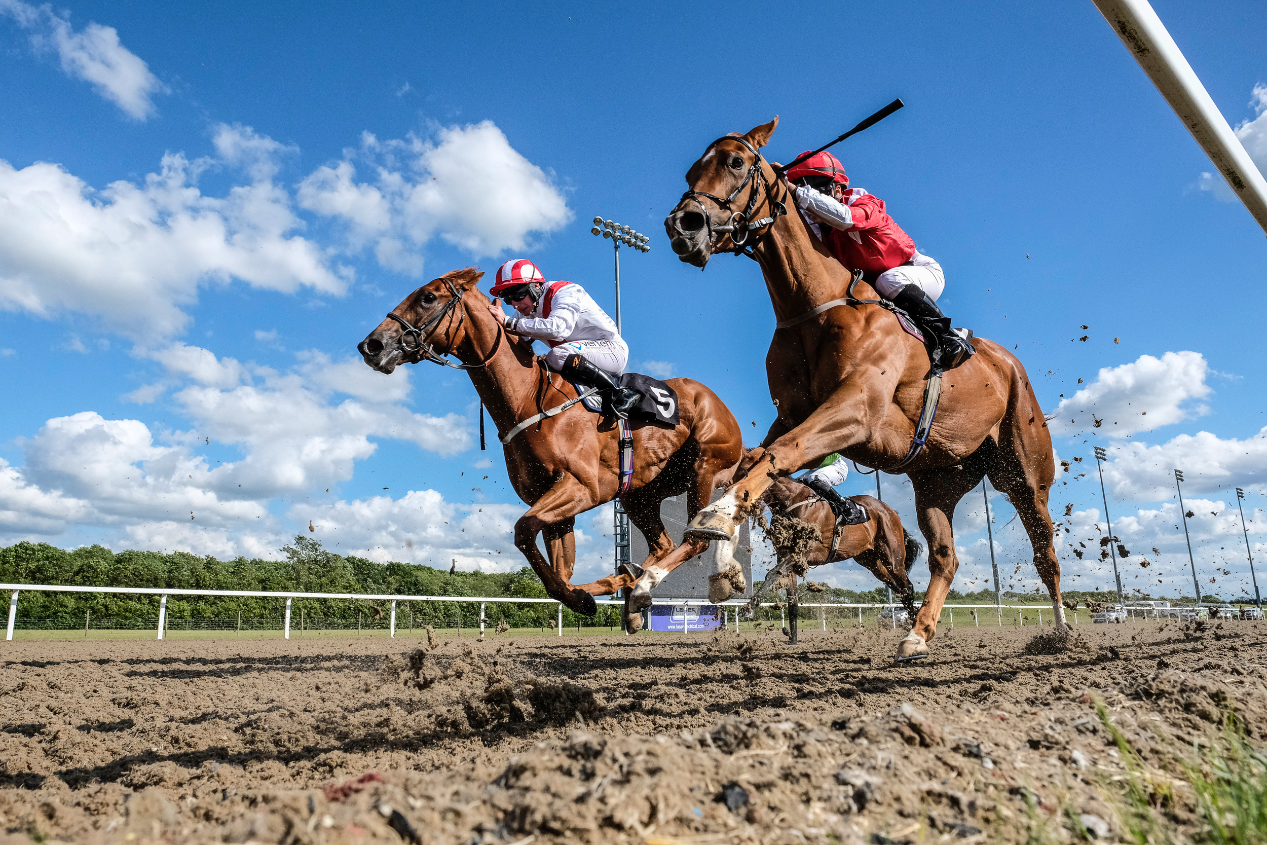Horse Racing | Chelmsford City Racecourse