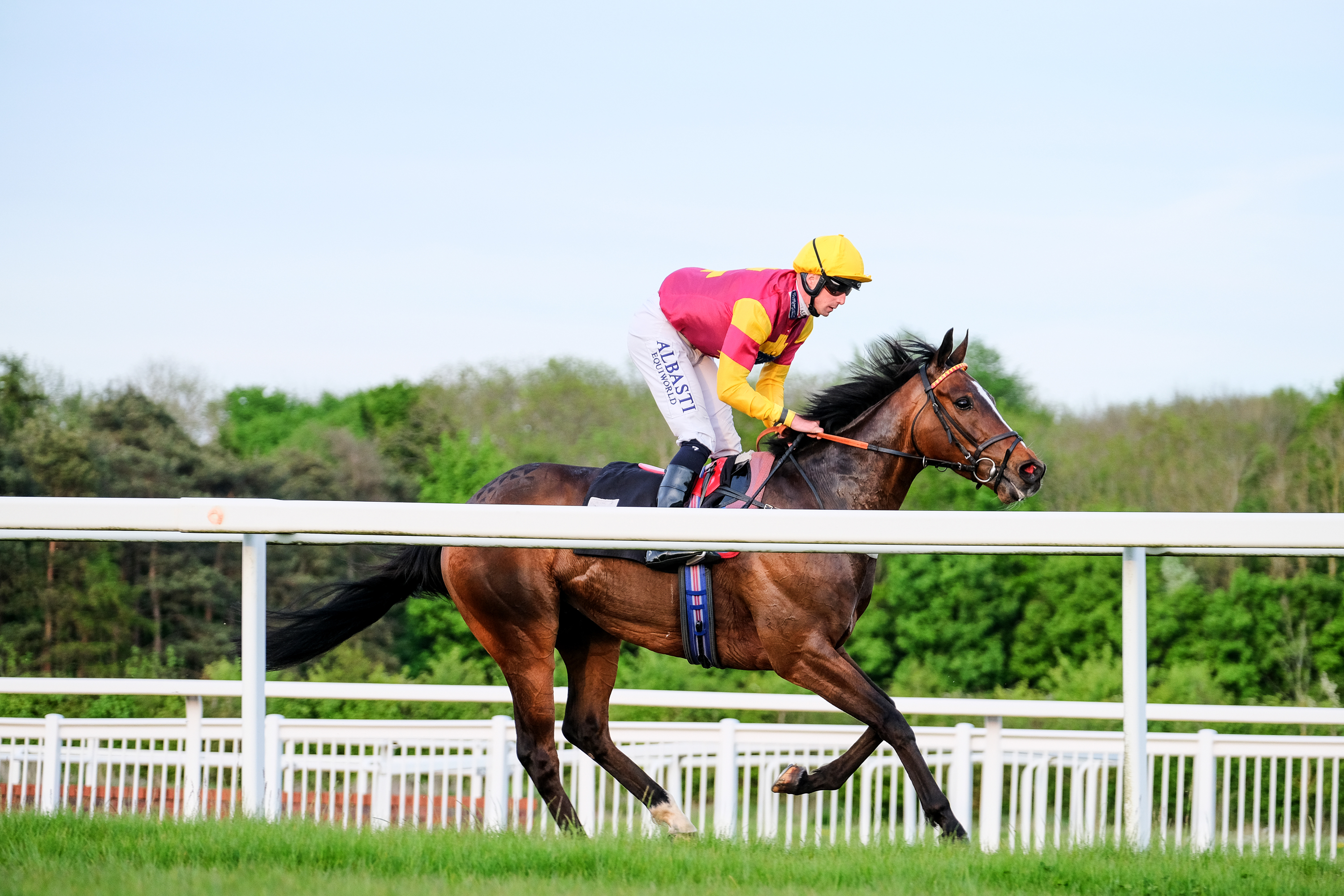Horse Racing | Chelmsford City Racecourse