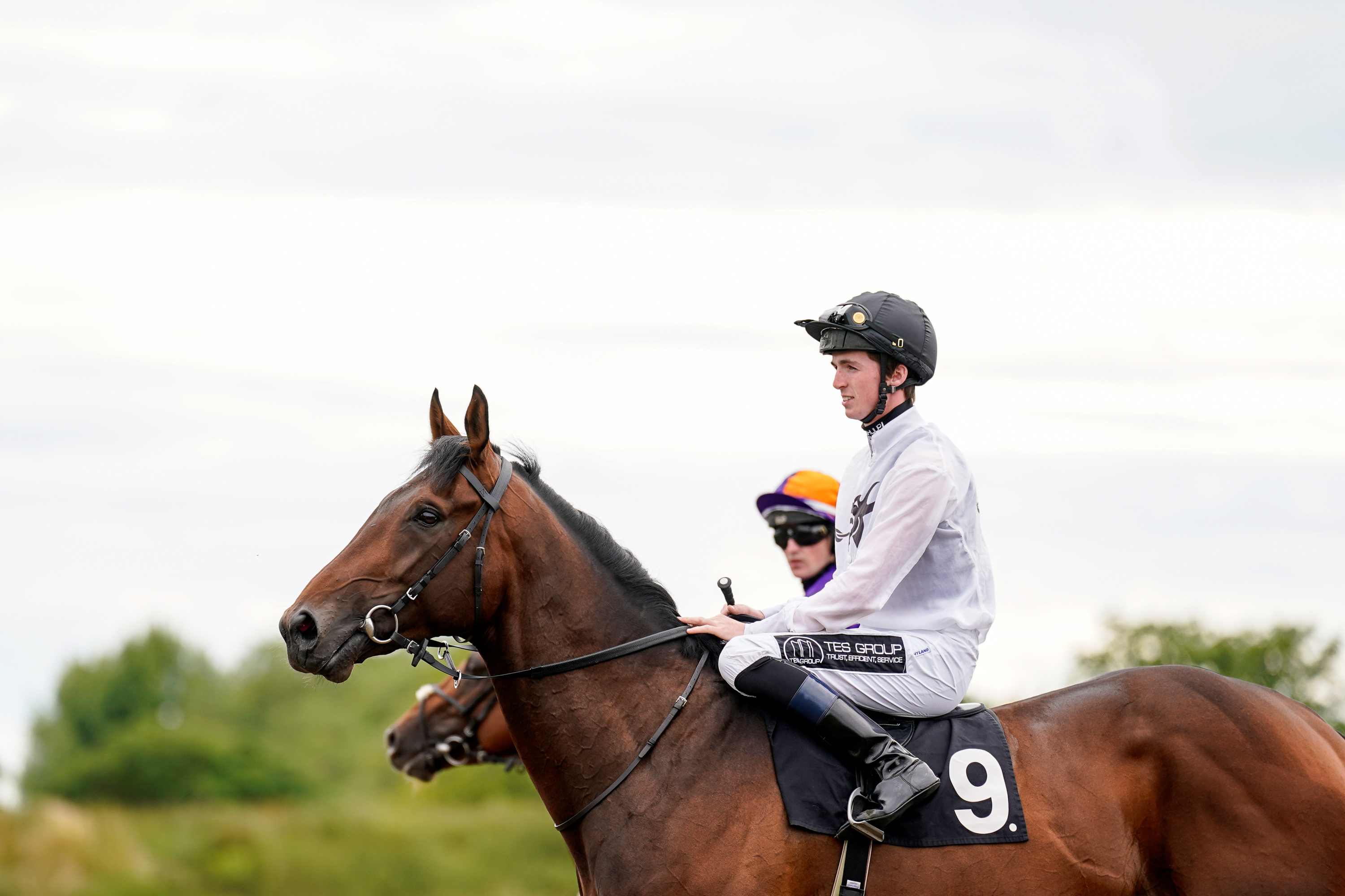 Jockey Sitting On A Horse | Chelmsford City Racecourse
