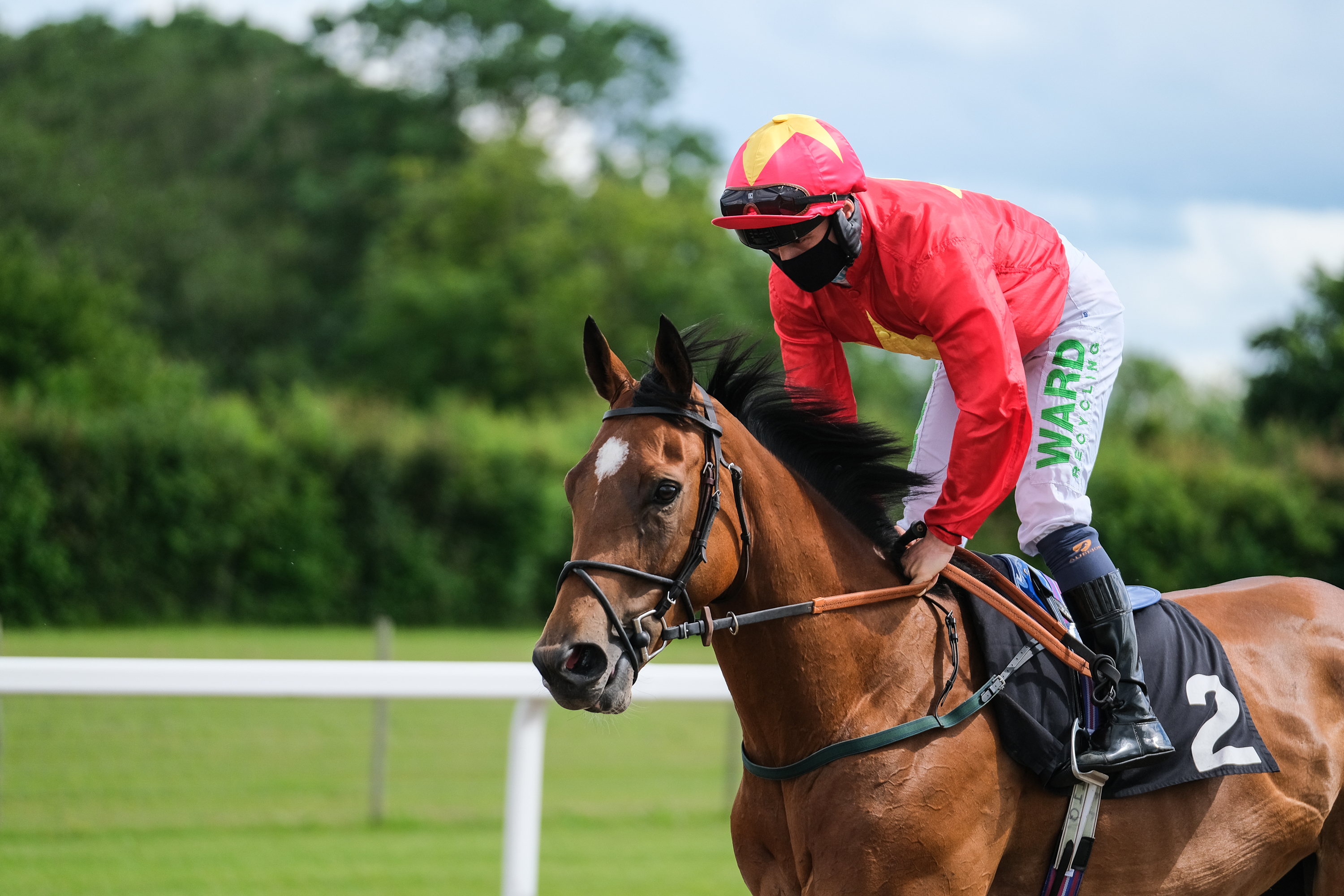 Horse Racing | Chelmsford City Racecourse