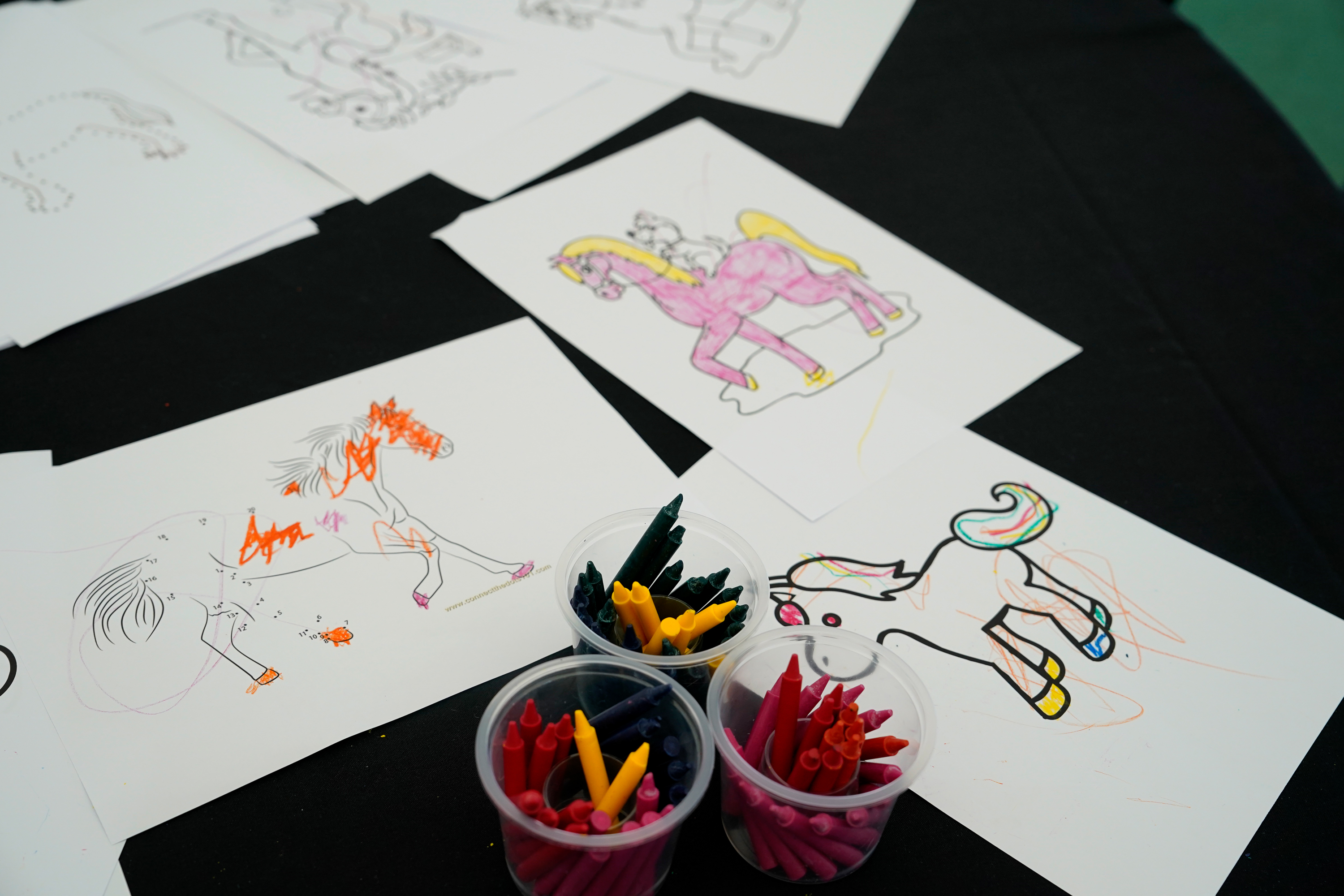 Community Event | Chelmsford City Racecourse