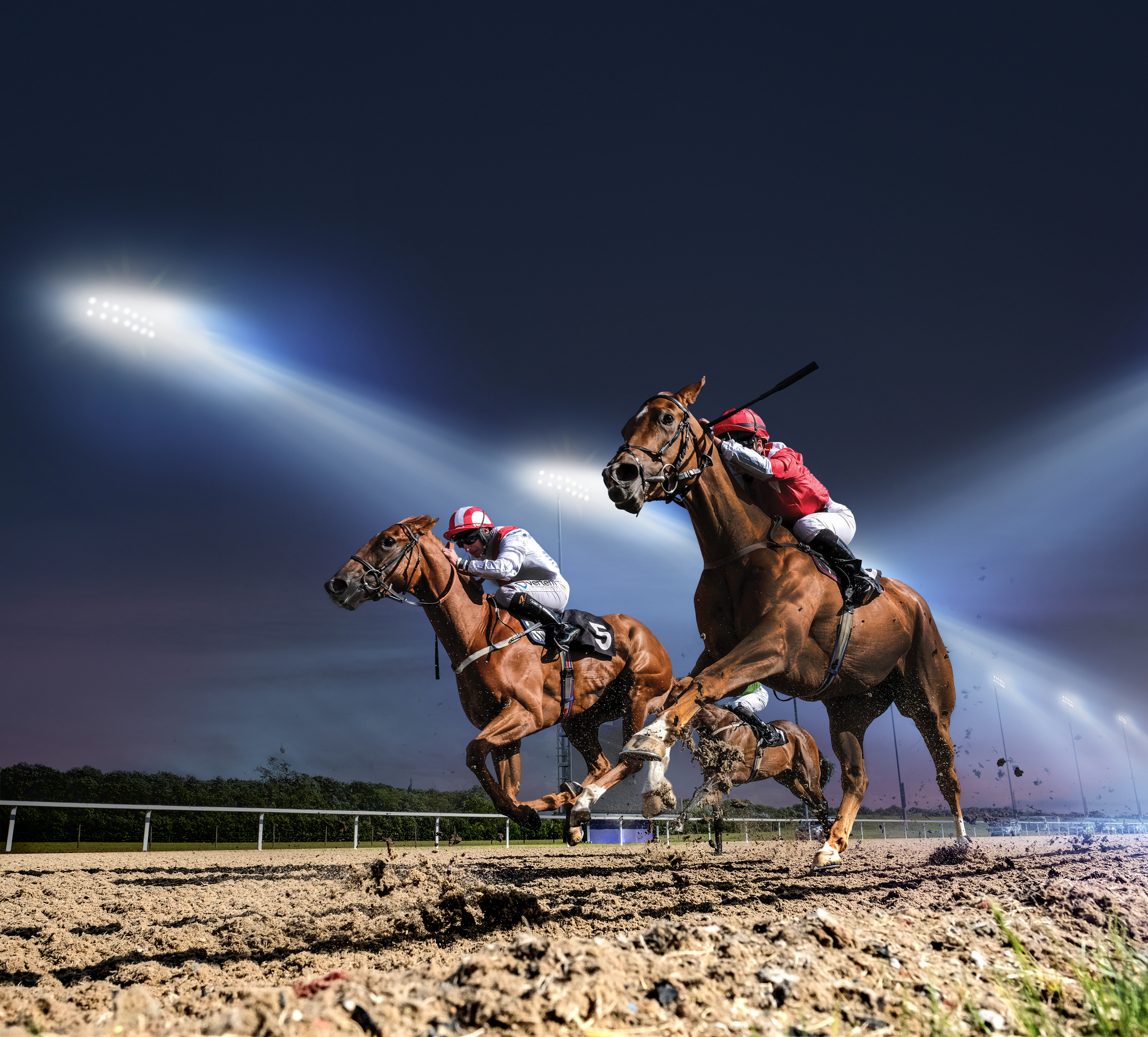 Horse-Action-Floodlight | Chelmsford City Racecourse