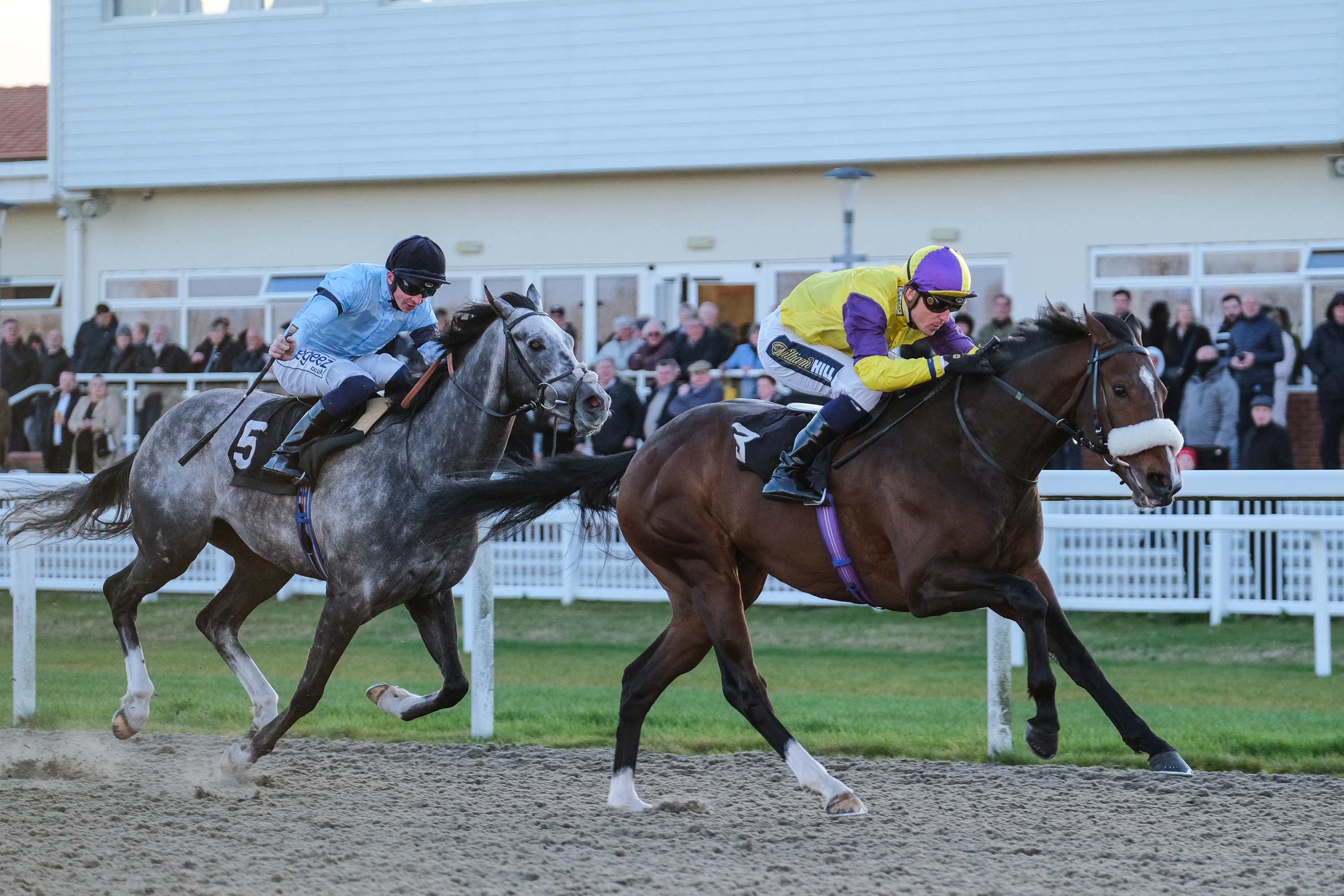 Horse Racing | Chelmsford City Racecourse