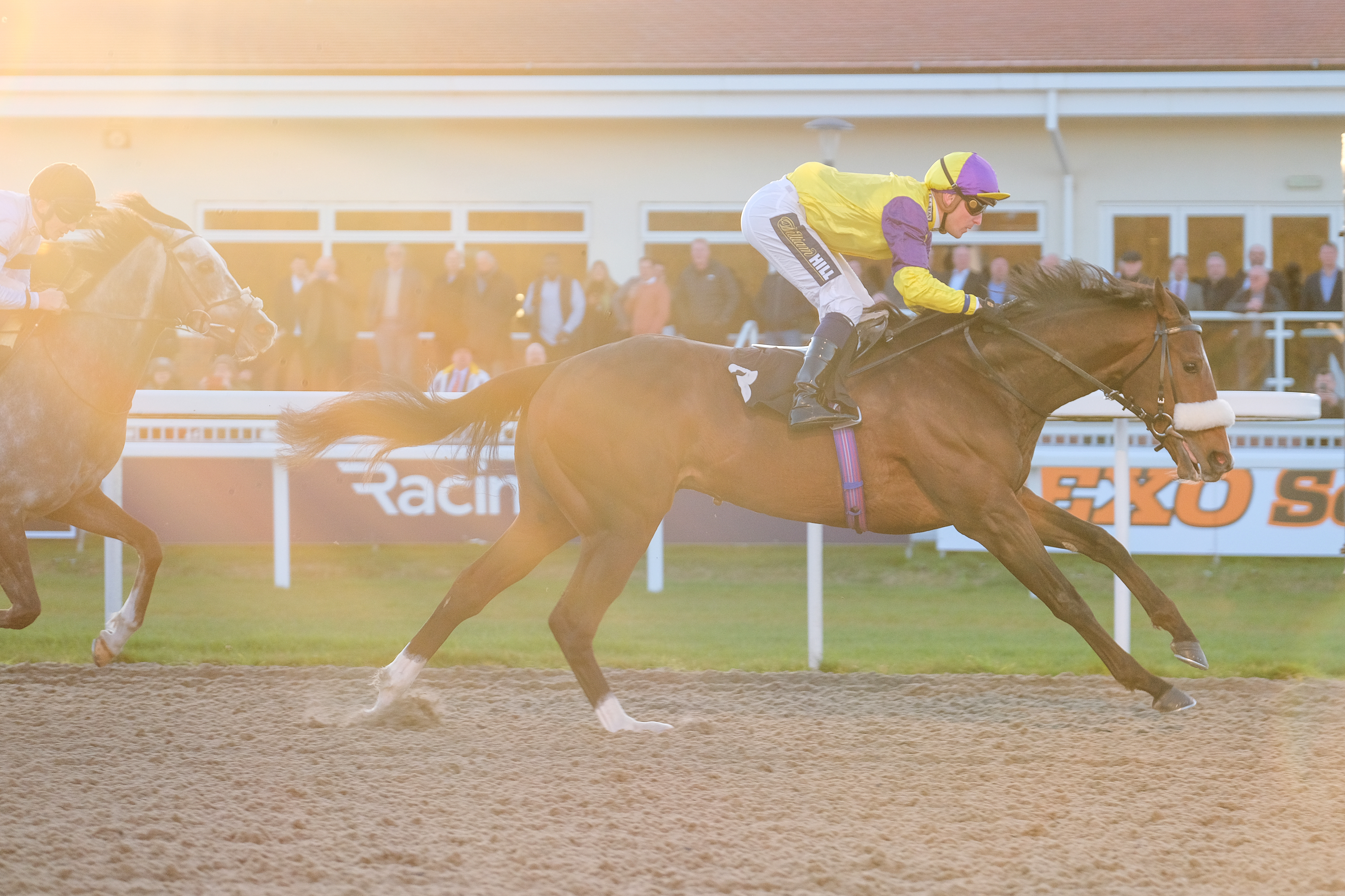 Horse Racing | Chelmsford City Racecourse