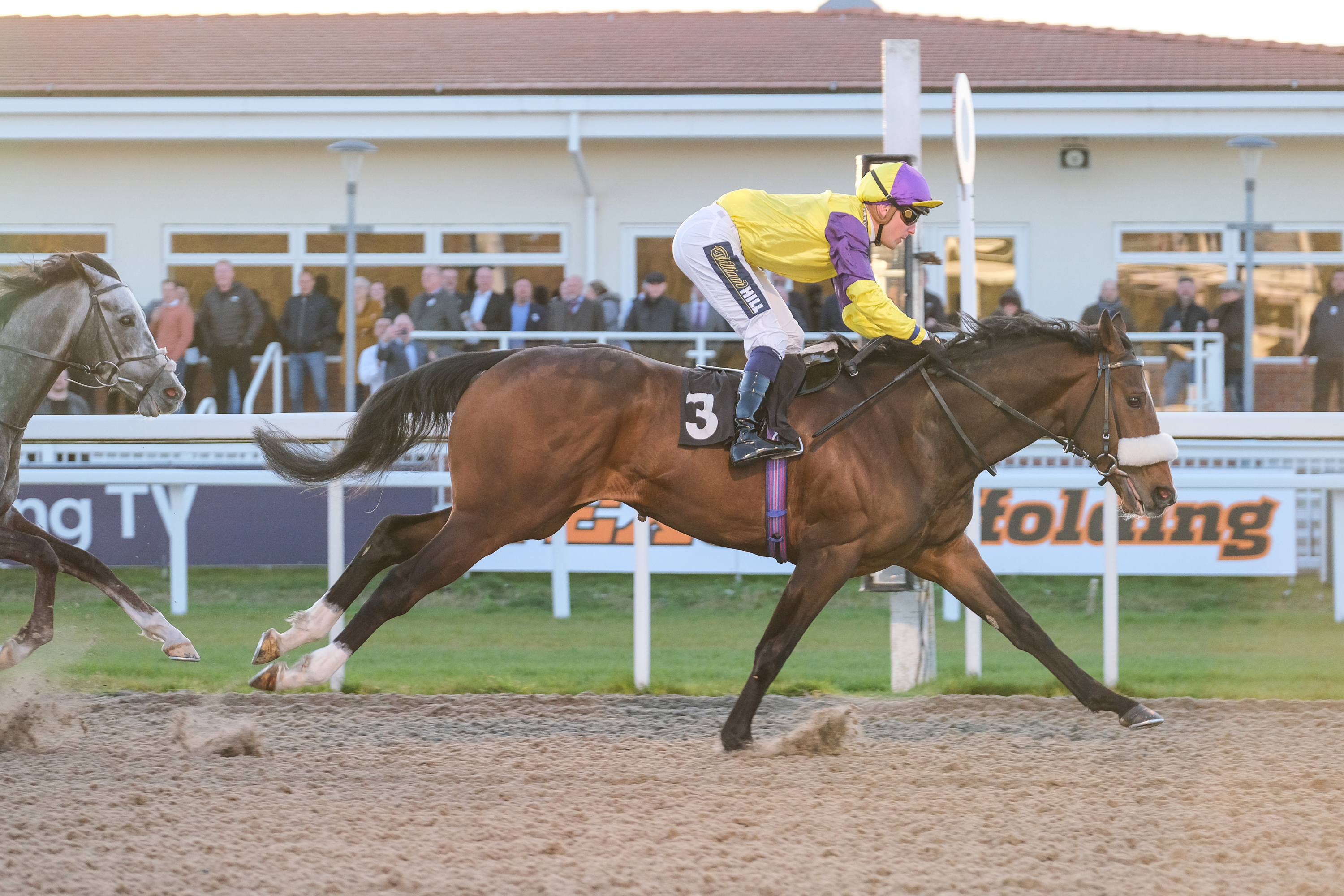 Horse Racing | Chelmsford City Racecourse