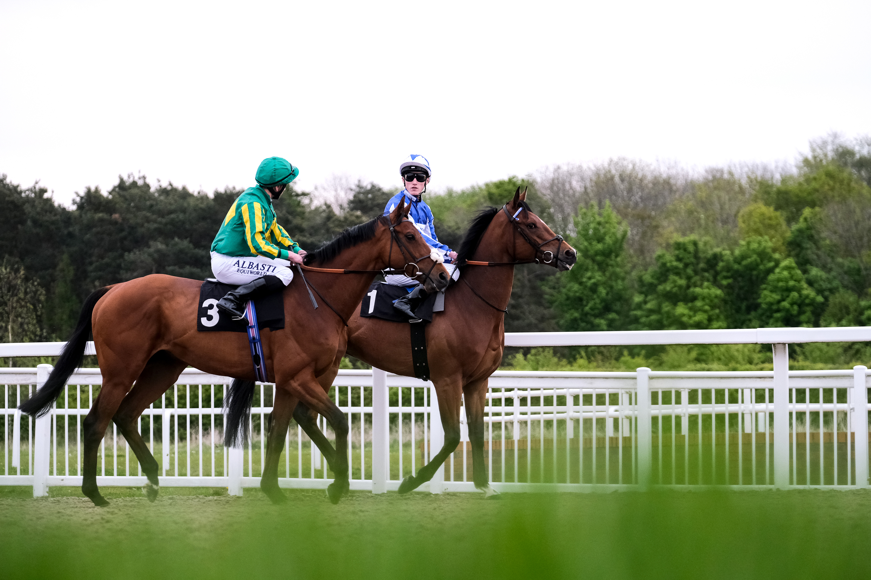 Horse Racing | Chelmsford City Racecourse