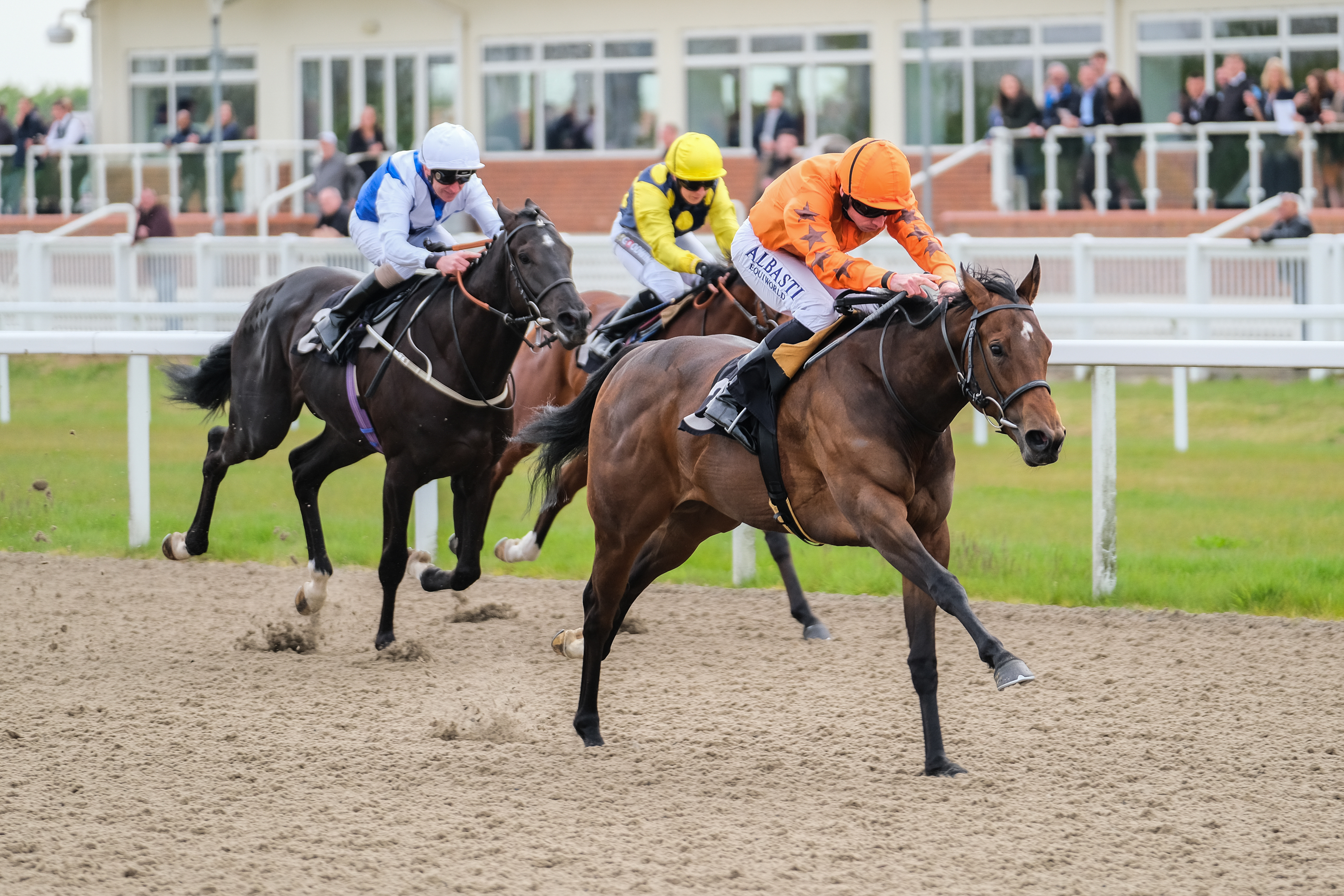 Horse Racing | Chelmsford City Racecourse