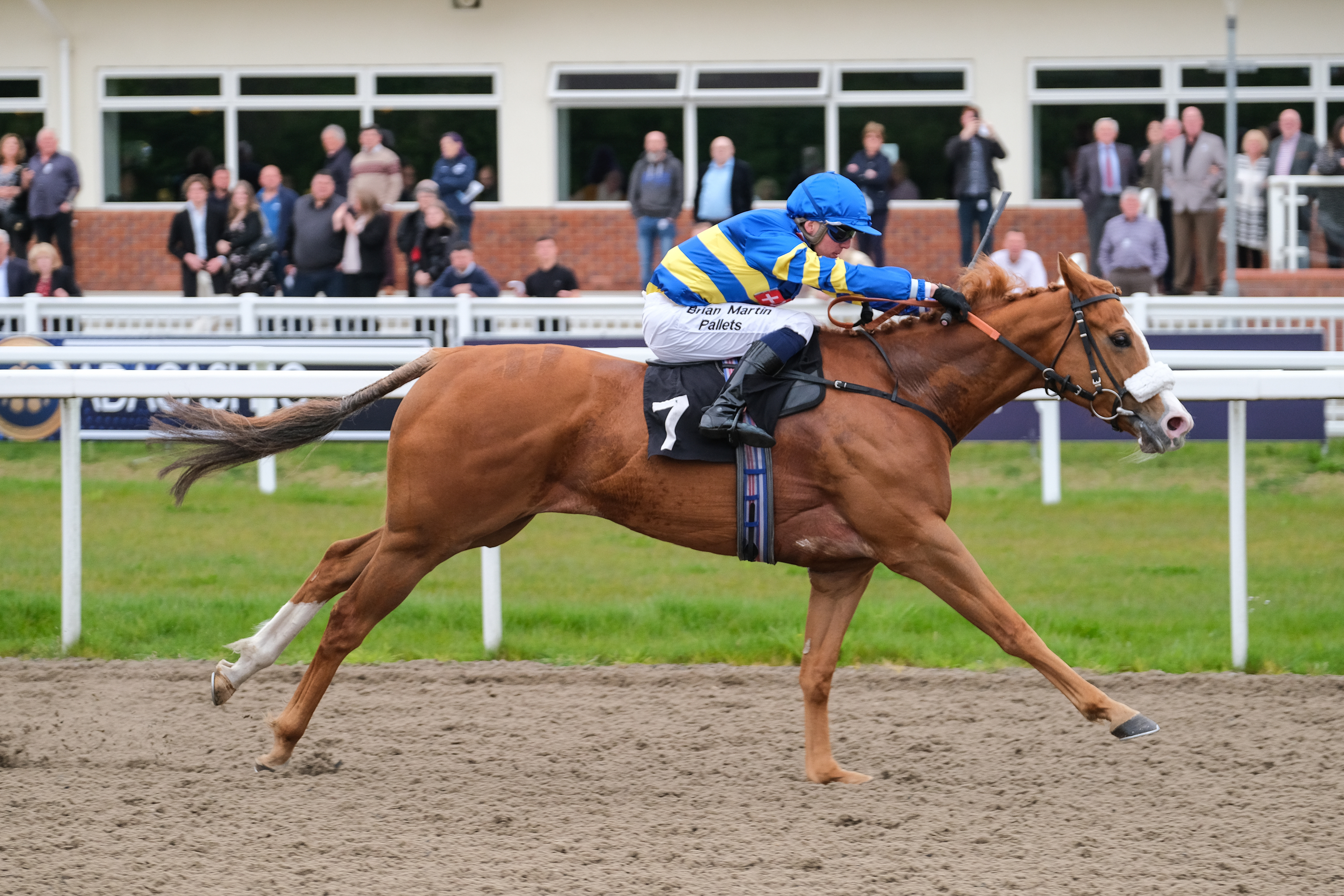 Horse Racing | Chelmsford City Racecourse