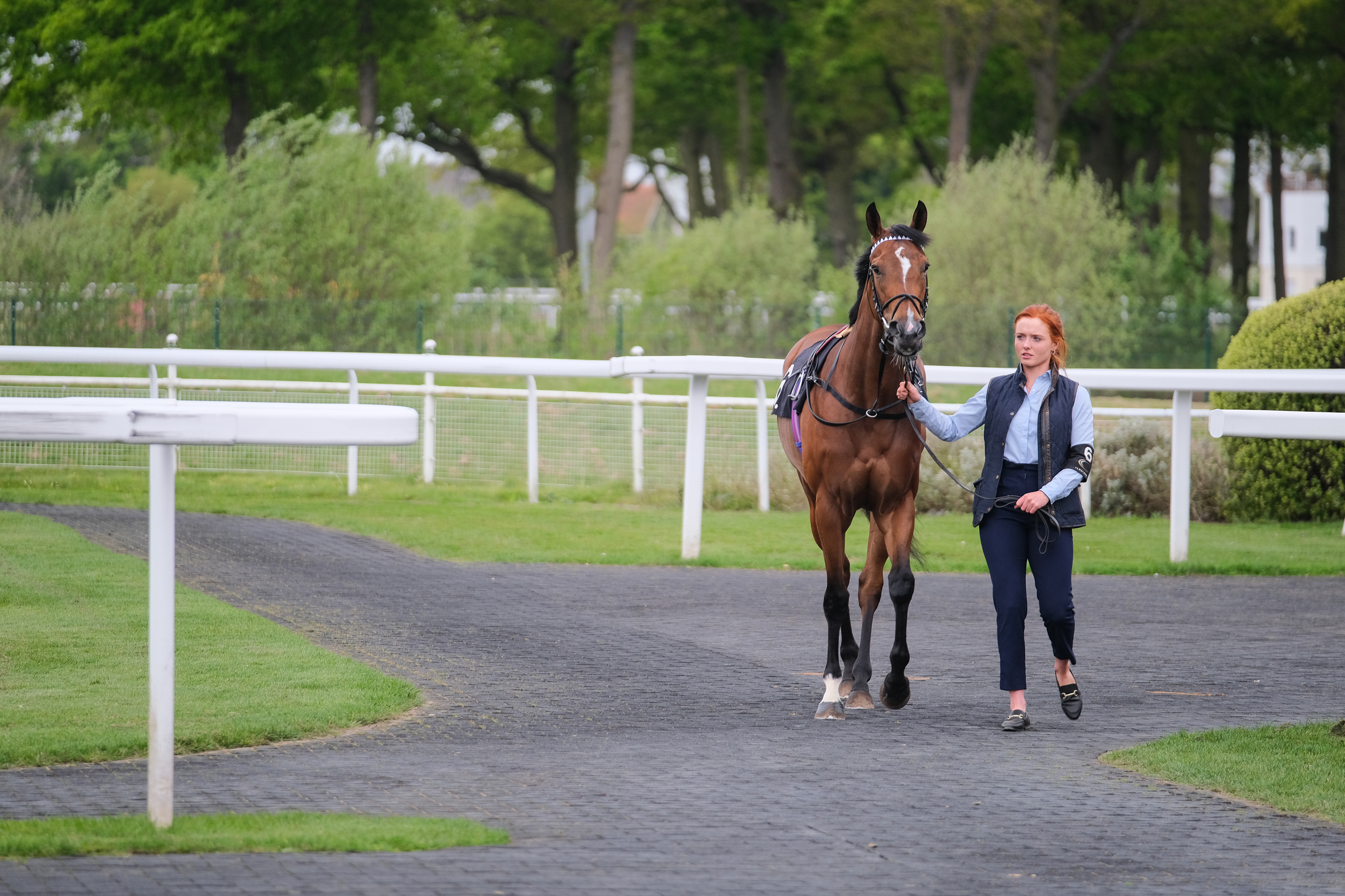 Horse Racing | Chelmsford City Racecourse