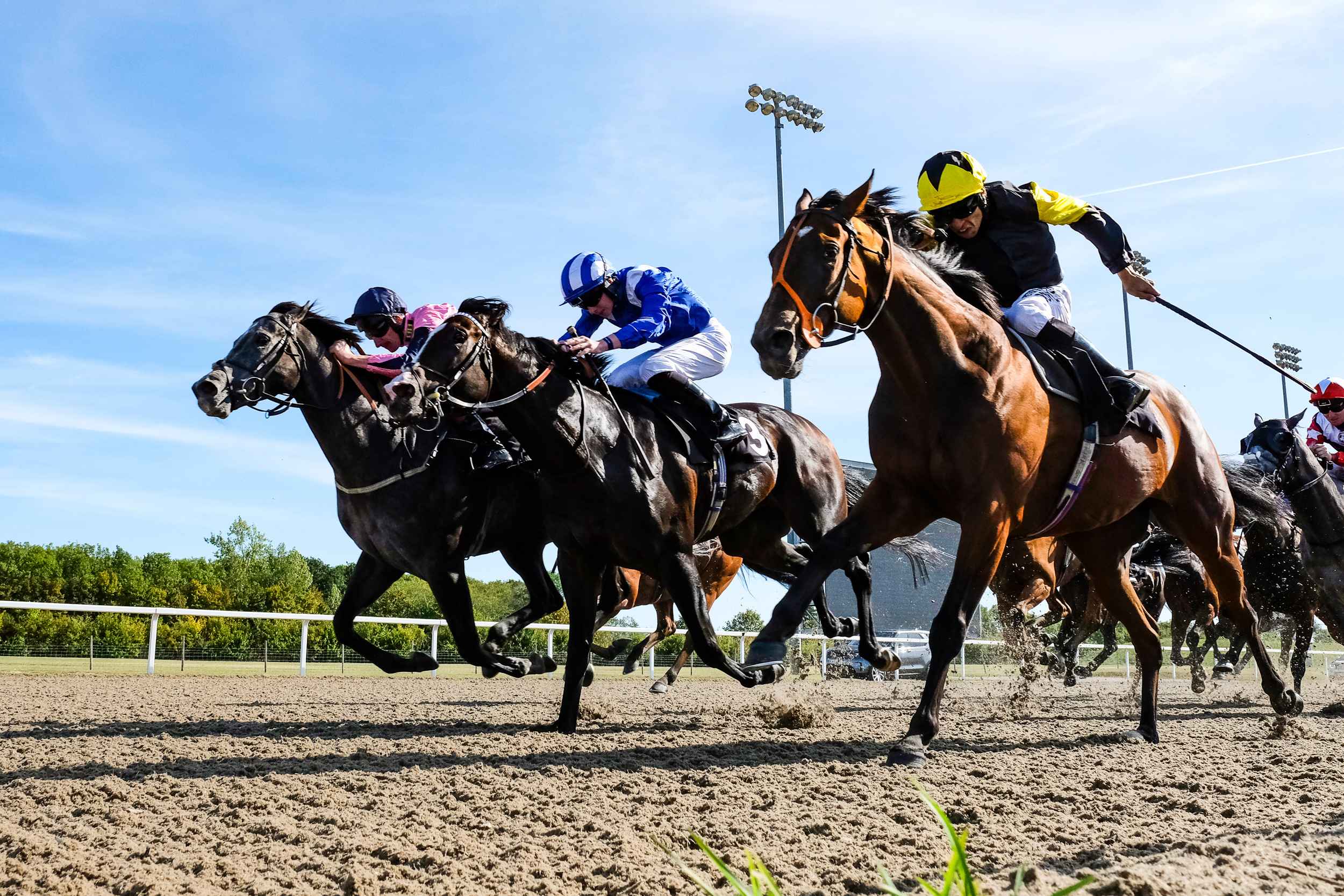 Horse Racing | Chelmsford City Racecourse