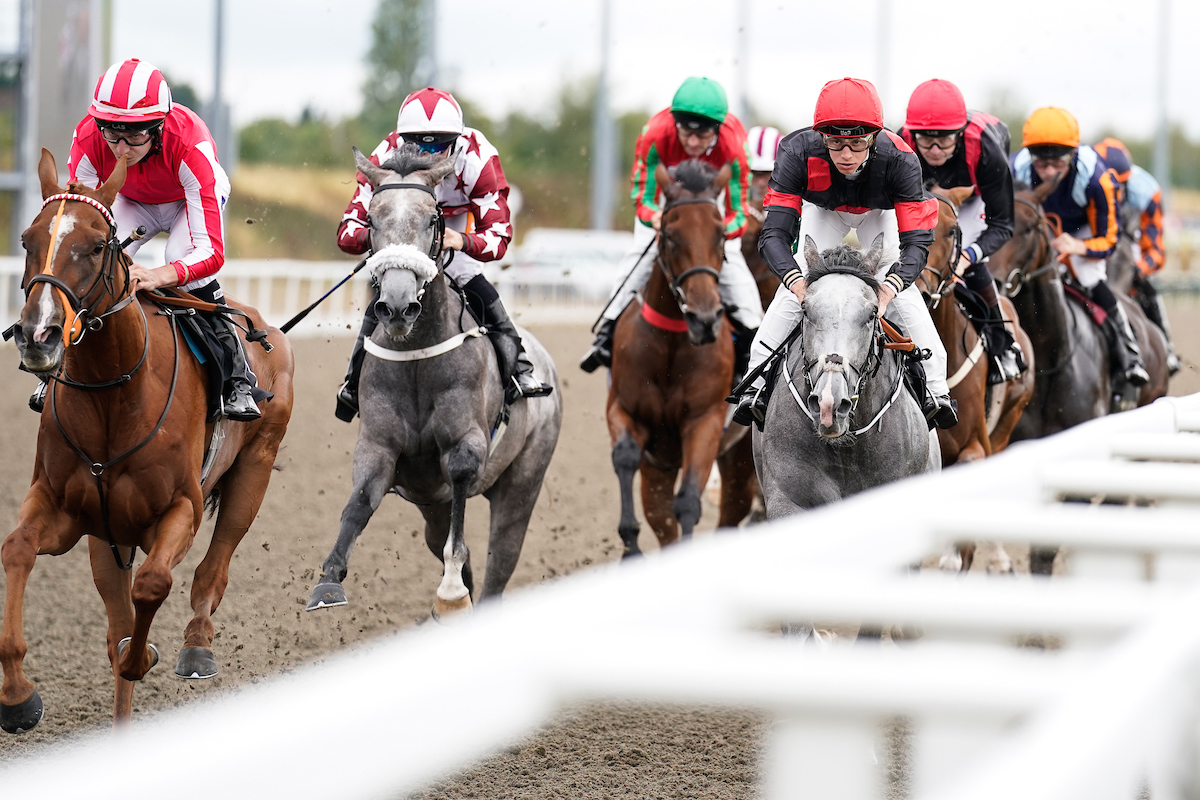 Horse Racing | Chelmsford City Racecourse